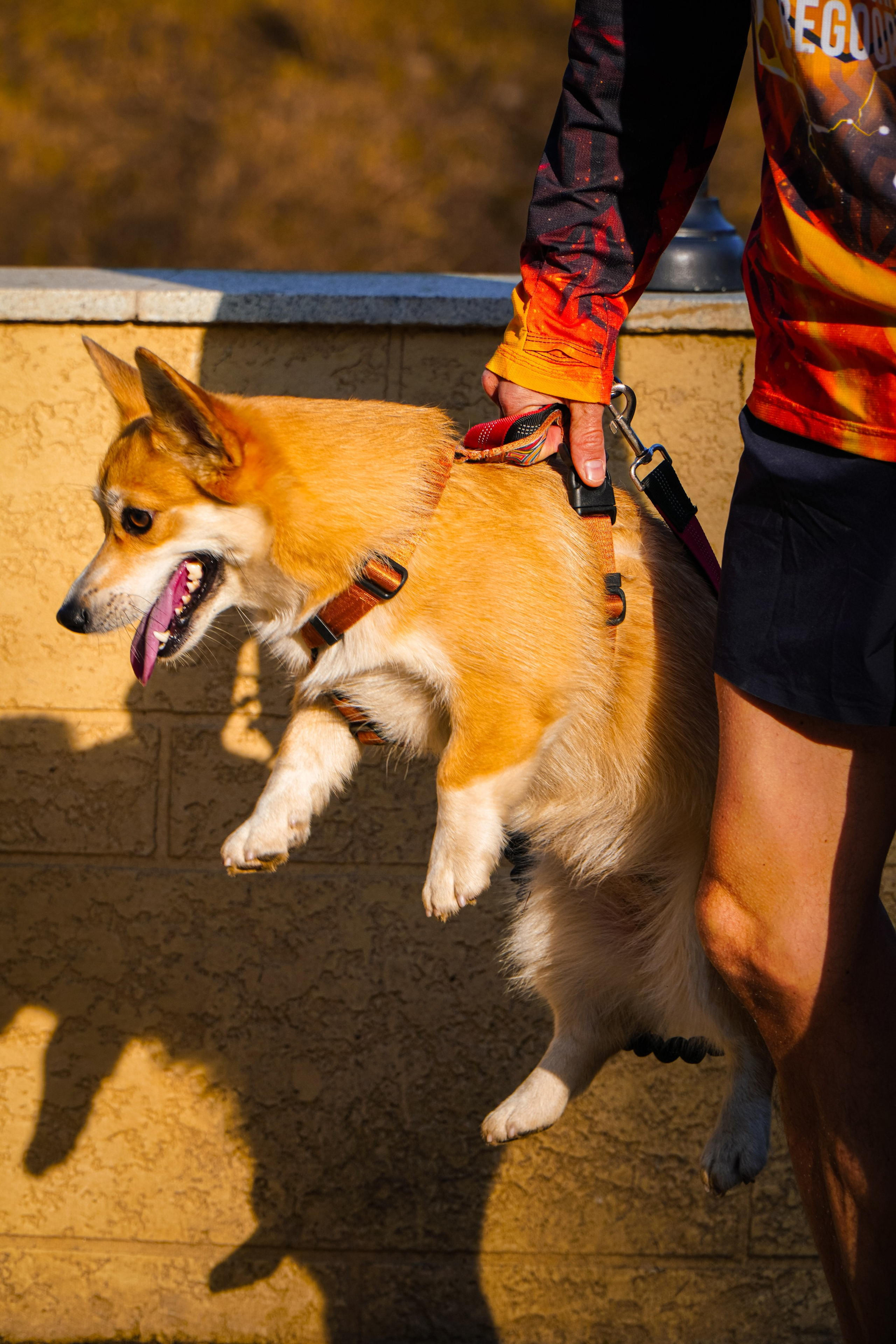 Капибара Кусково & RHR. Роман Капилюшов. Бег. Фото. Видео. г. Люберцы