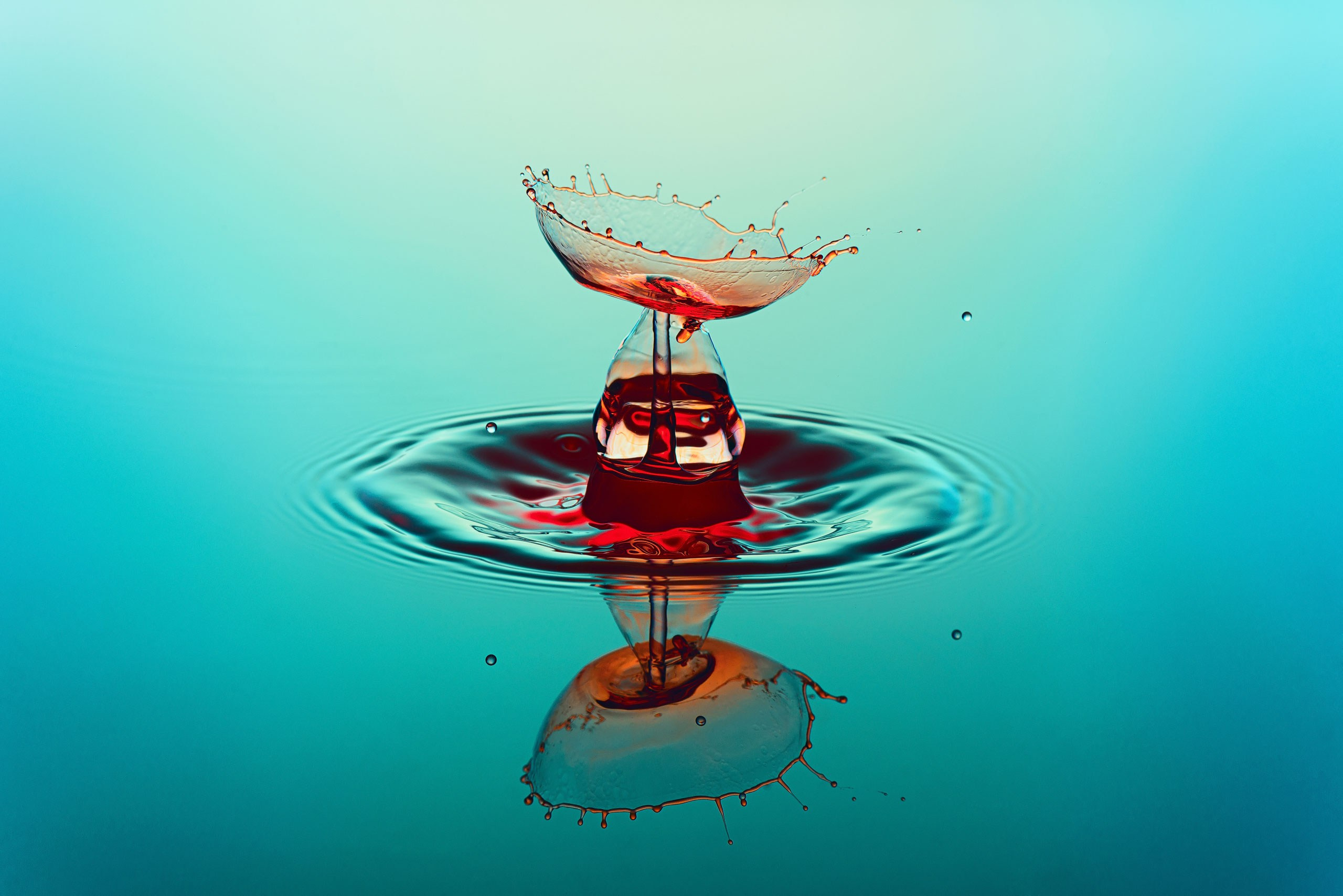 Классические формы. Скульптуры из воды Сергея Толмачева