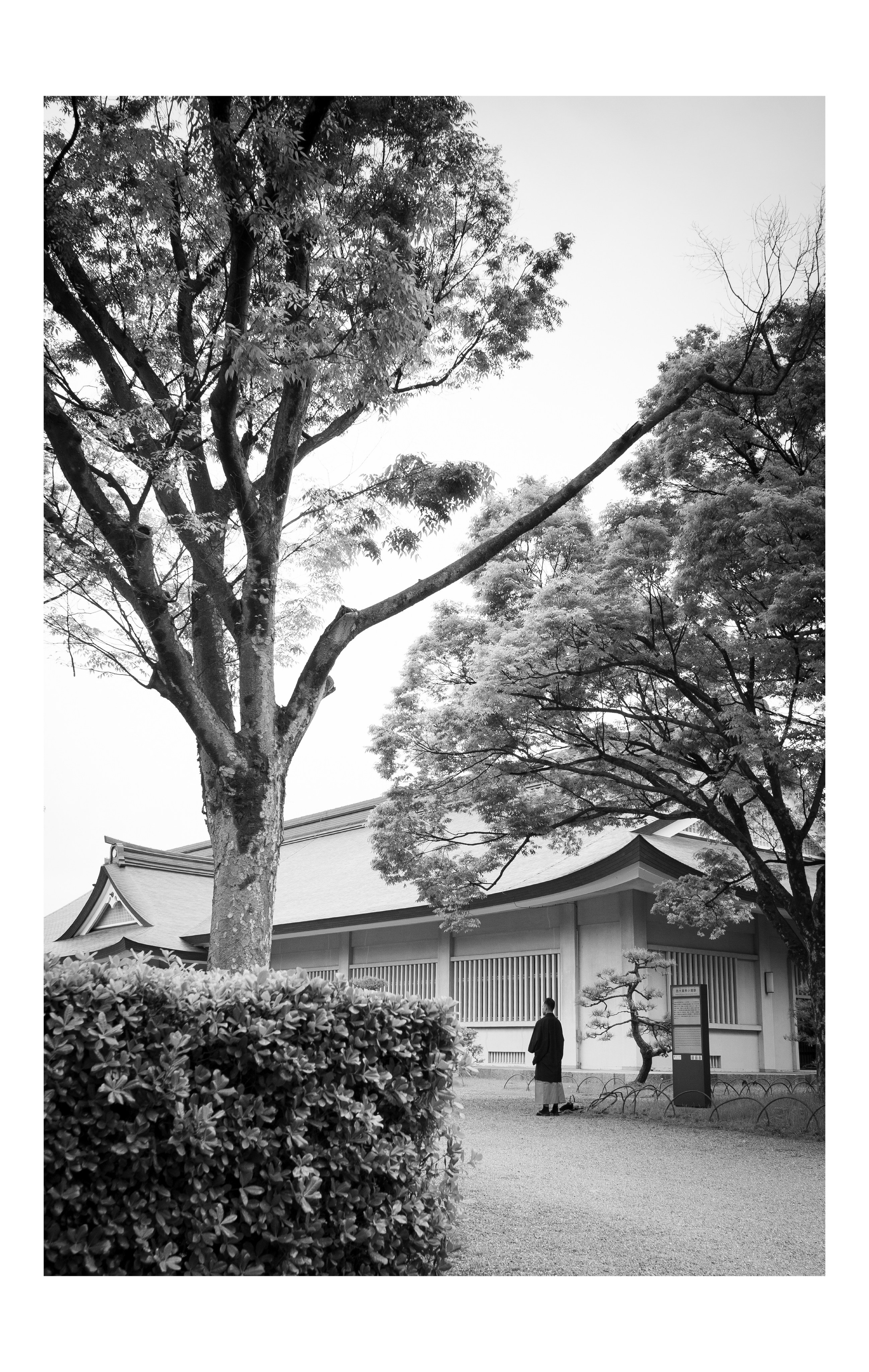 Япония. Фотографии Руслана Сайдалиева (Рус Сай)