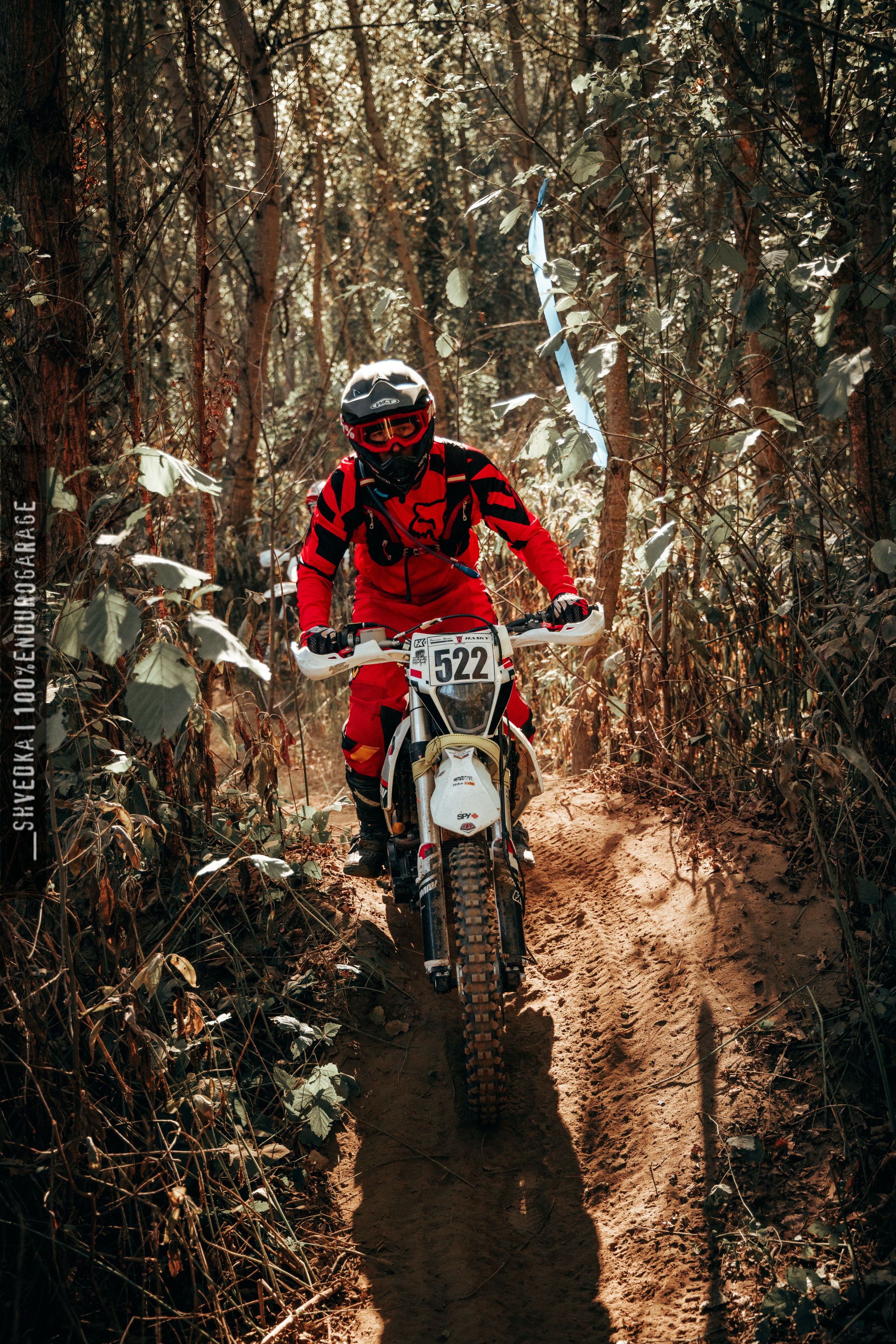 2 лесной день. Ваш экстрим фотограф Кудрева Яна