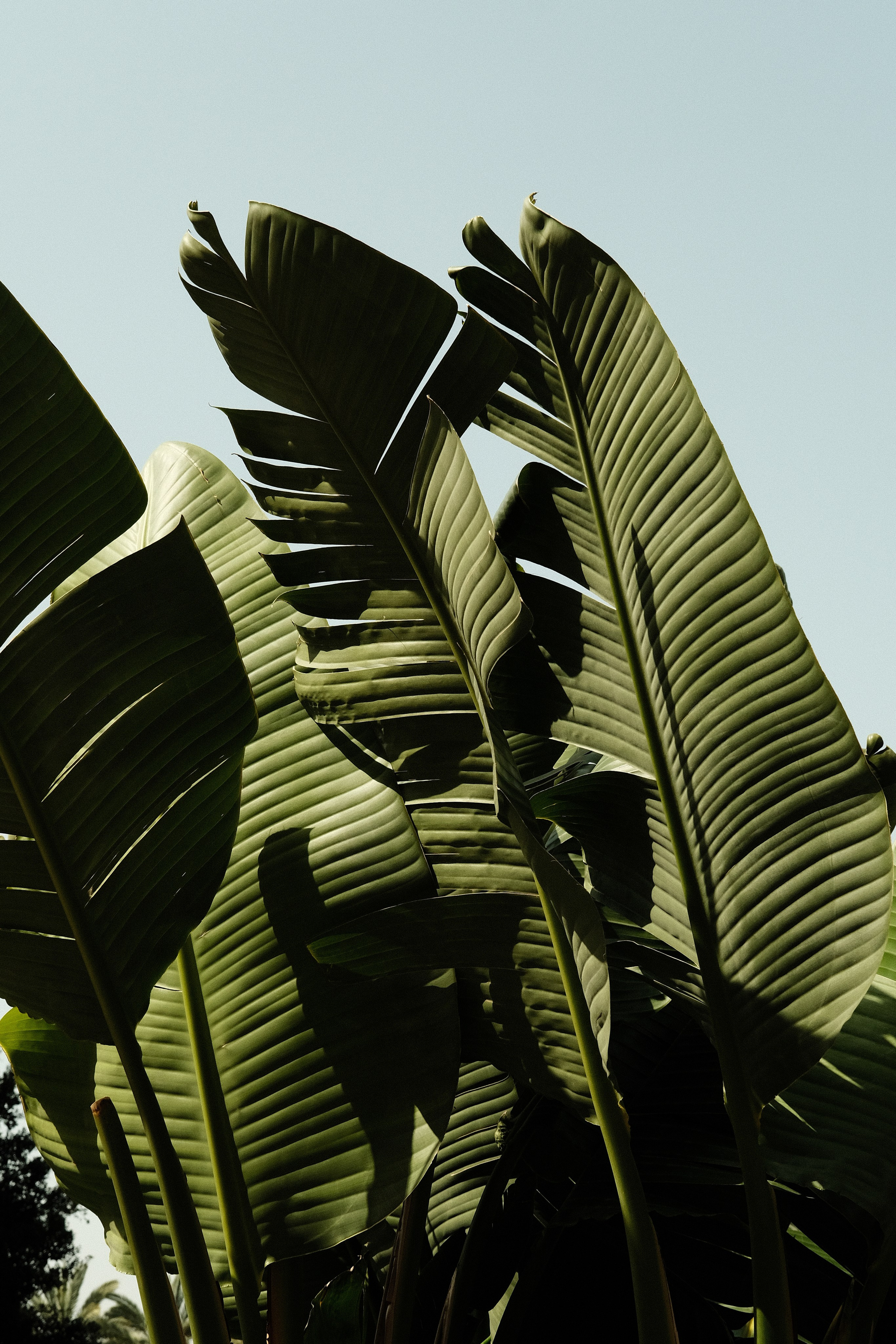 Стрит-фотография в Санкт-Петербурге — фотосессия | Филипп Линзин. Репортажный и портретный фотограф в Санкт-Петербурге Филипп Линзин