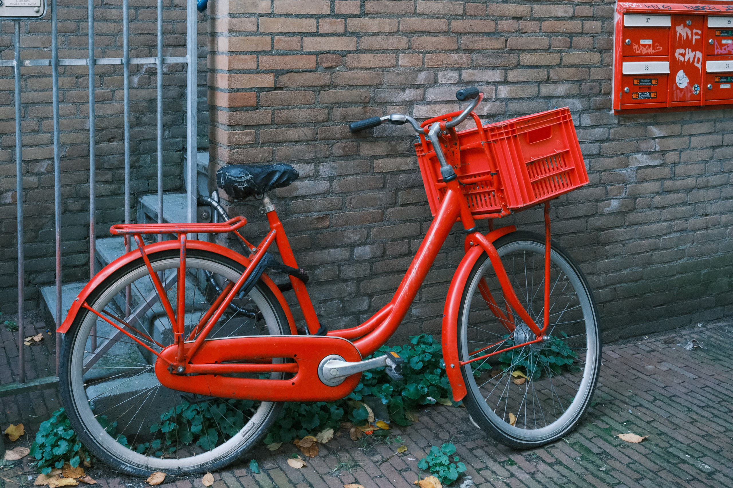 Фотографии Нидерландов | Филипп Линзин. Репортажный и портретный фотограф в Санкт-Петербурге Филипп Линзин