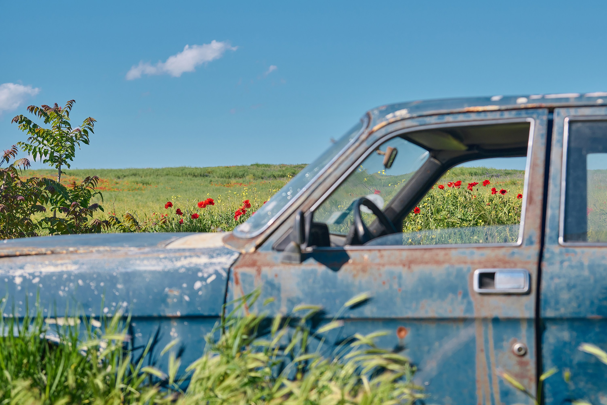 поле, машина, автомобиль, металлолом, старая машина, железо, красные маки
