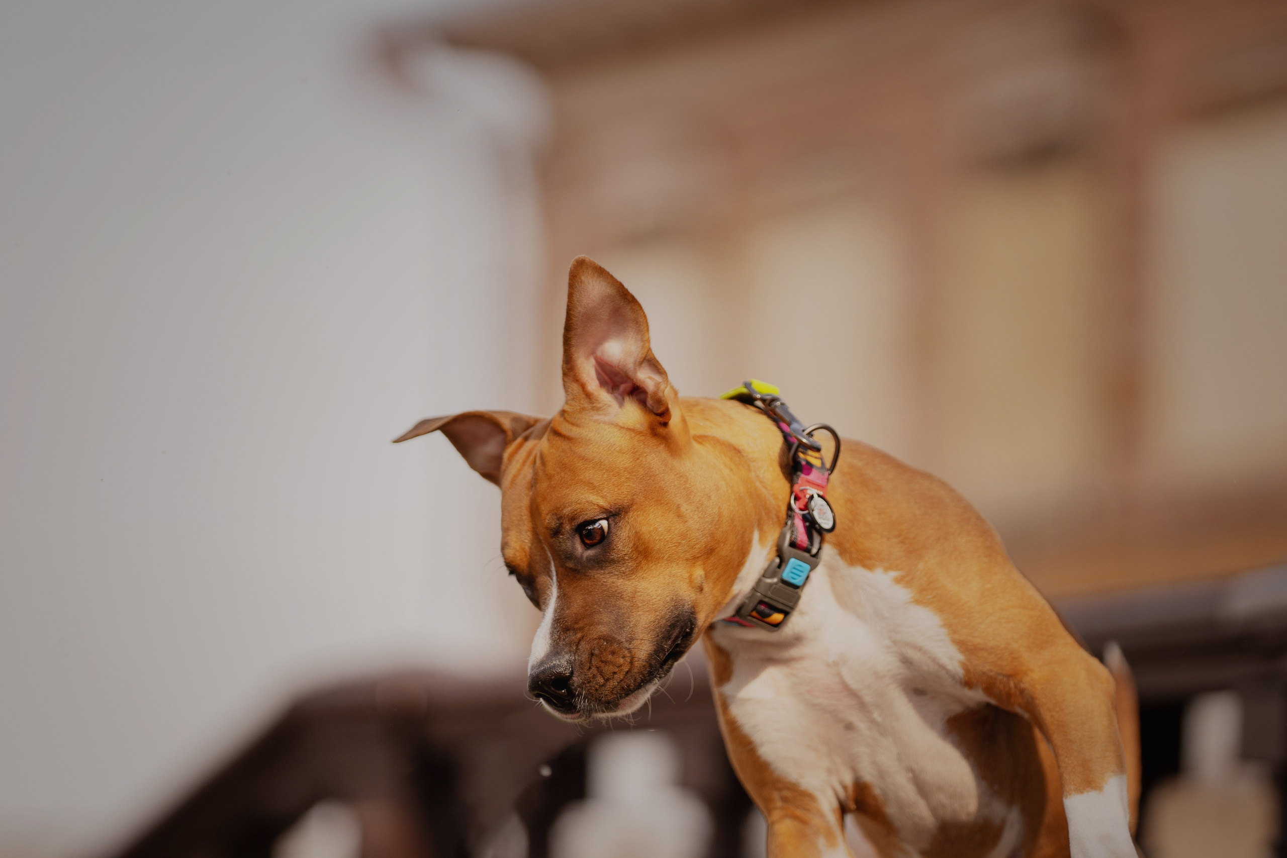 Луна. Kameramotor74