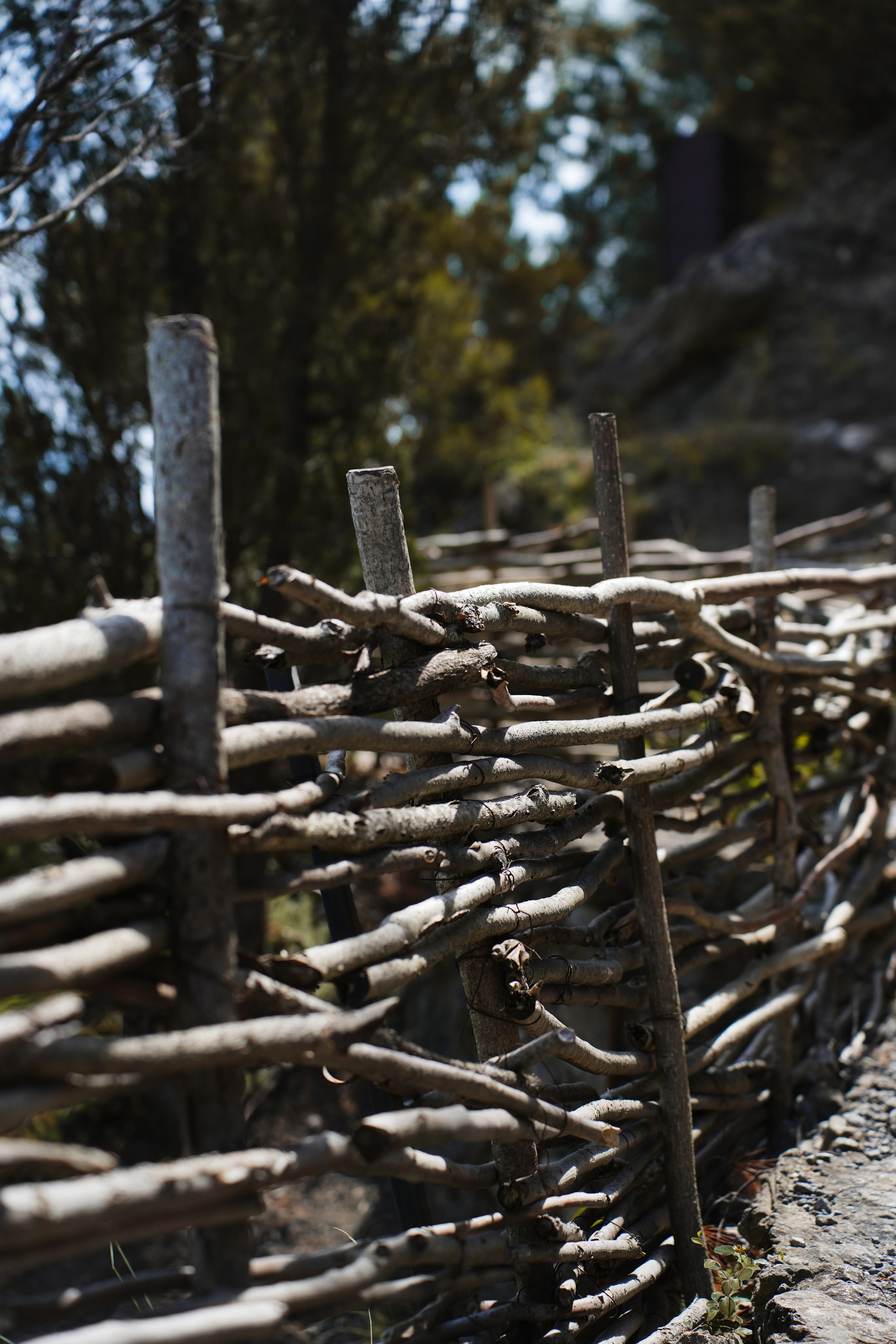 Крым. Анна Жукова — Режиссёр кино и цирка, сценарист, фотограф