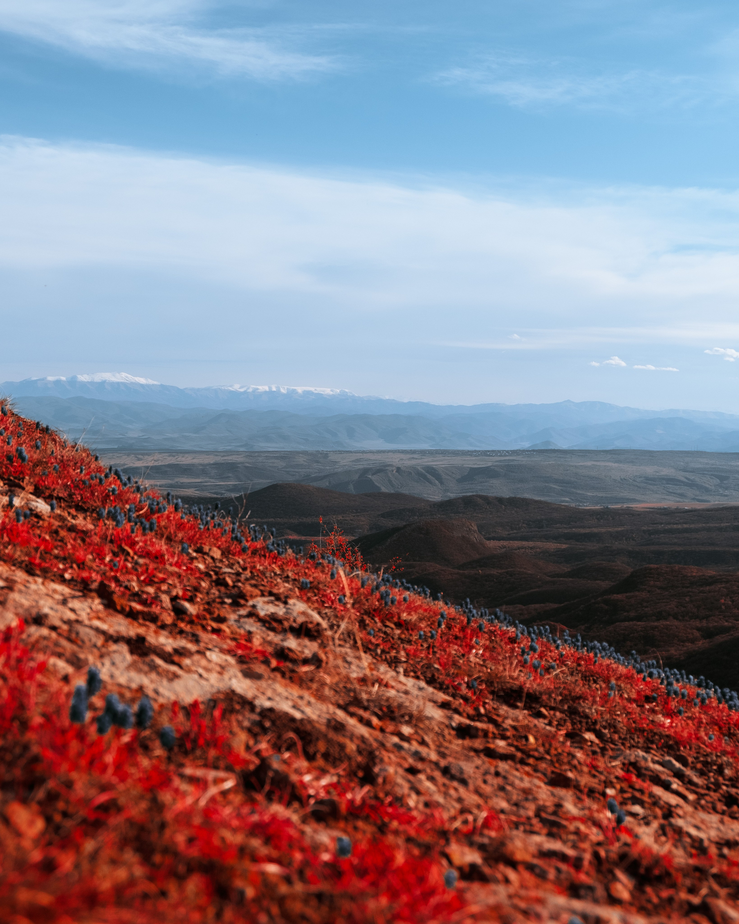 Стрит / Окружение / Архитектура. Фотограф Александр Чернышёв