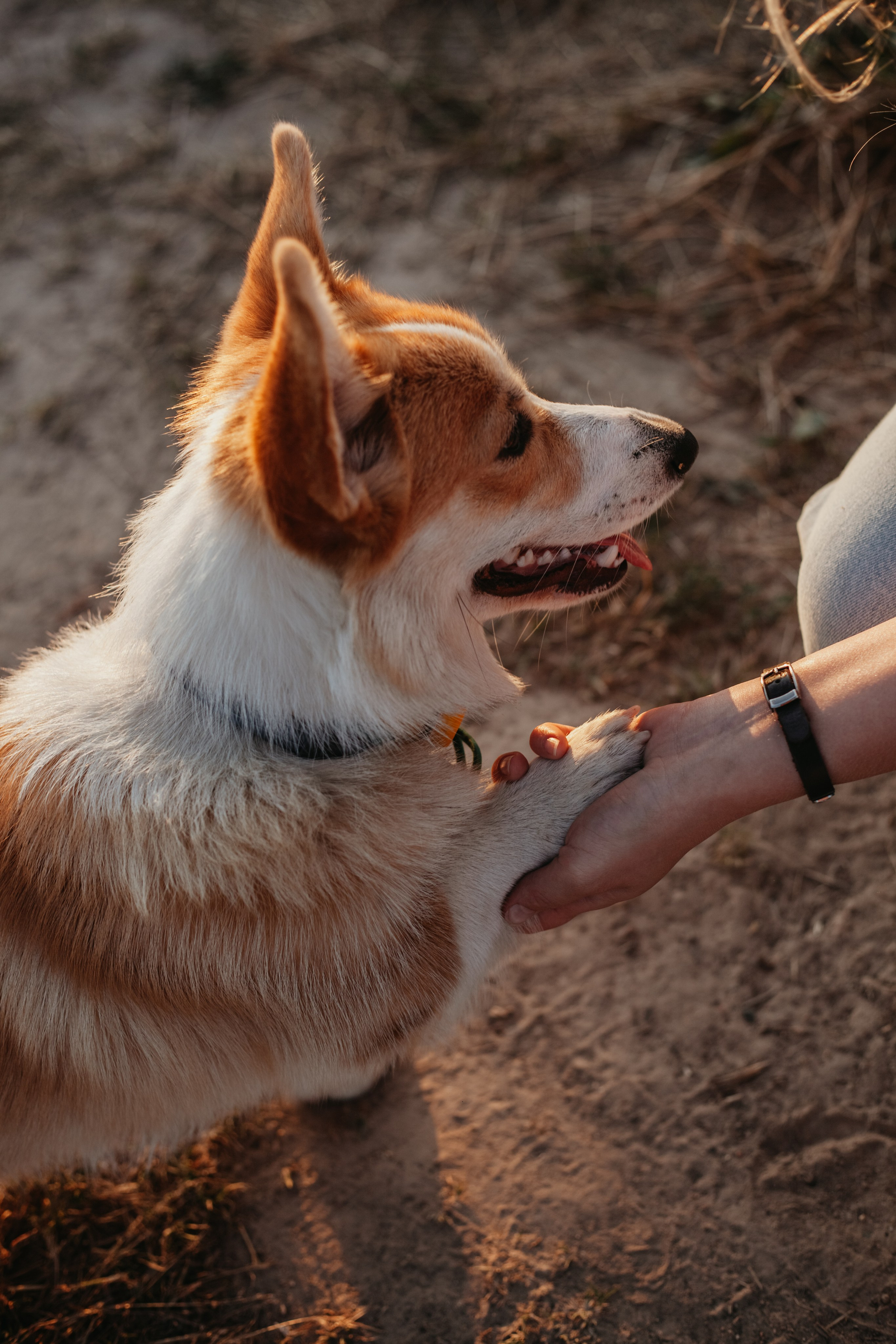 Илья Юля и Шанти. Семейный фотограф Москва