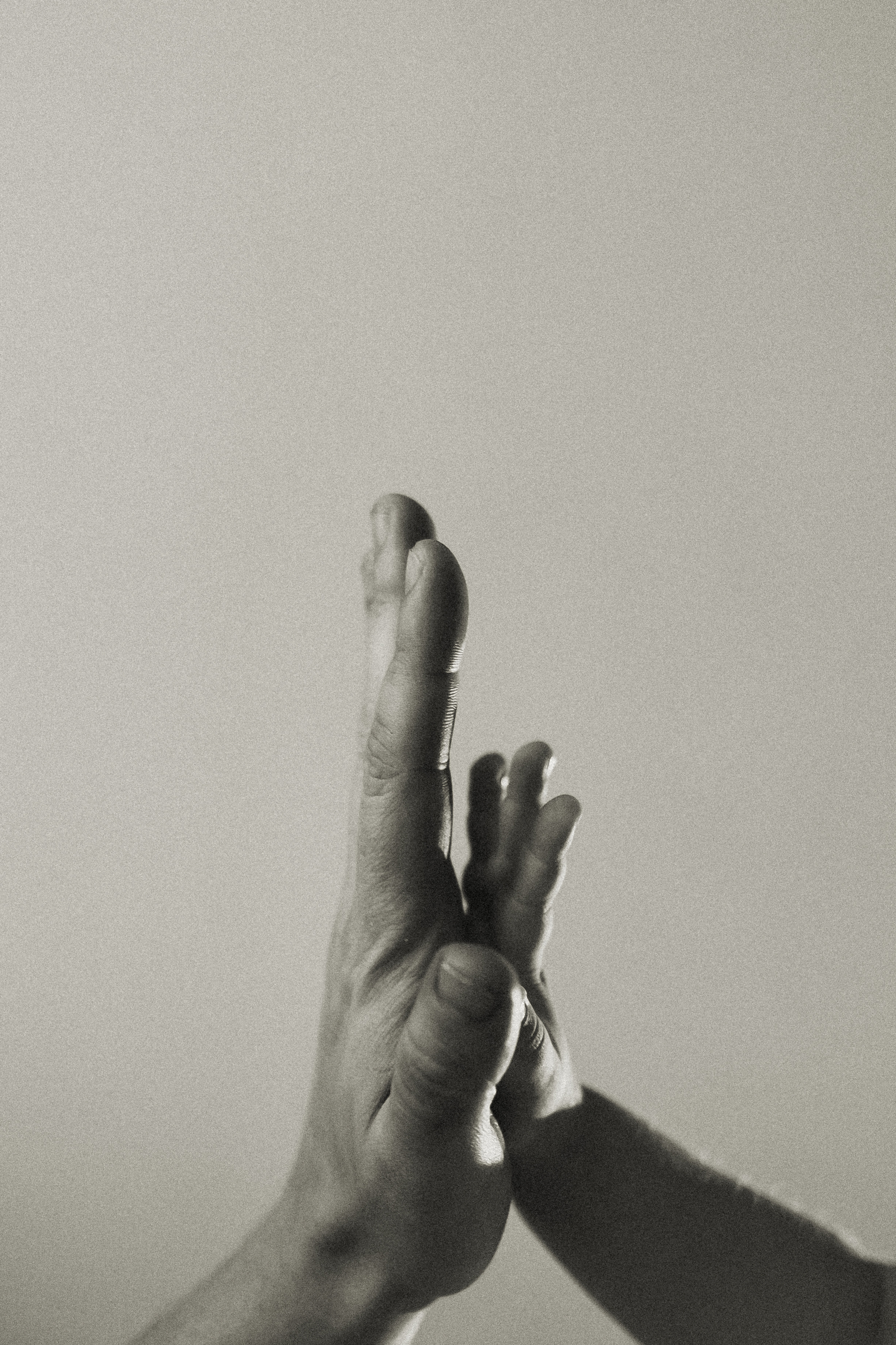 Аня, Андрей и Лерочка. Главная