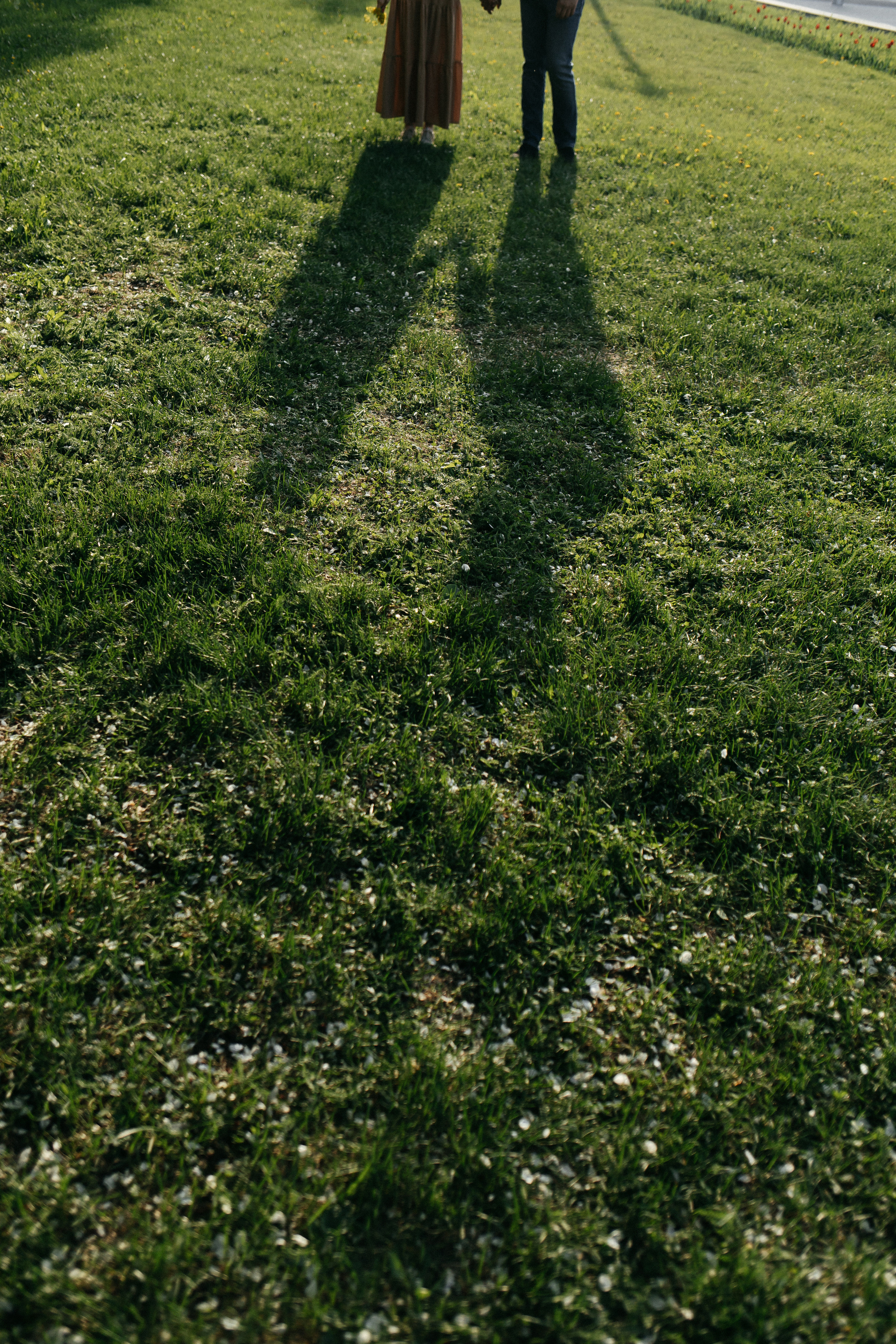 Лавстори в парке. Главная