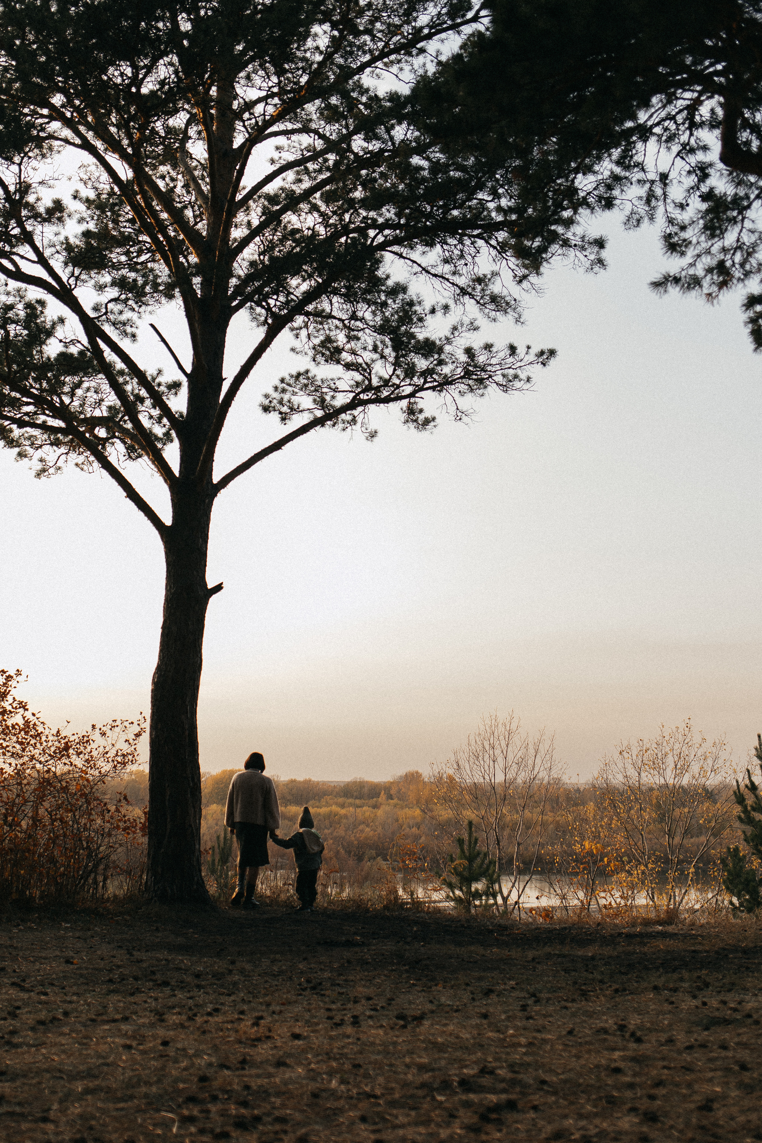 Фотосессия с семьей Насти. Главная