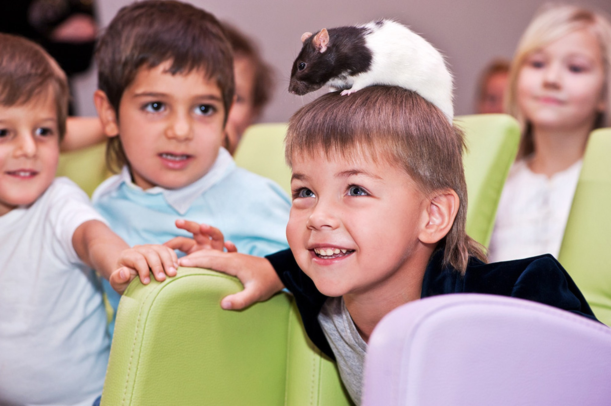 Детский праздник. Anzhina1.wfolio.pro