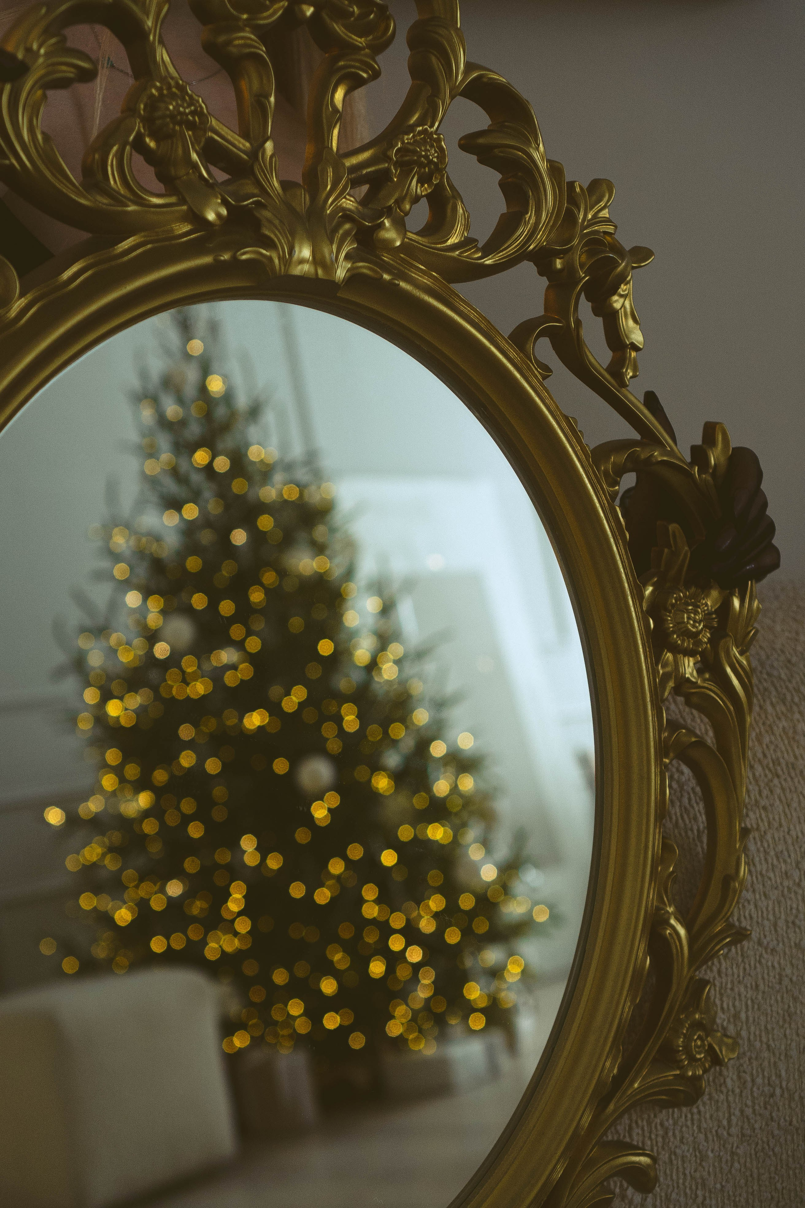 Новогодняя. Профессиональный фотограф, Санкт-Петербург — Виктория Богомолова