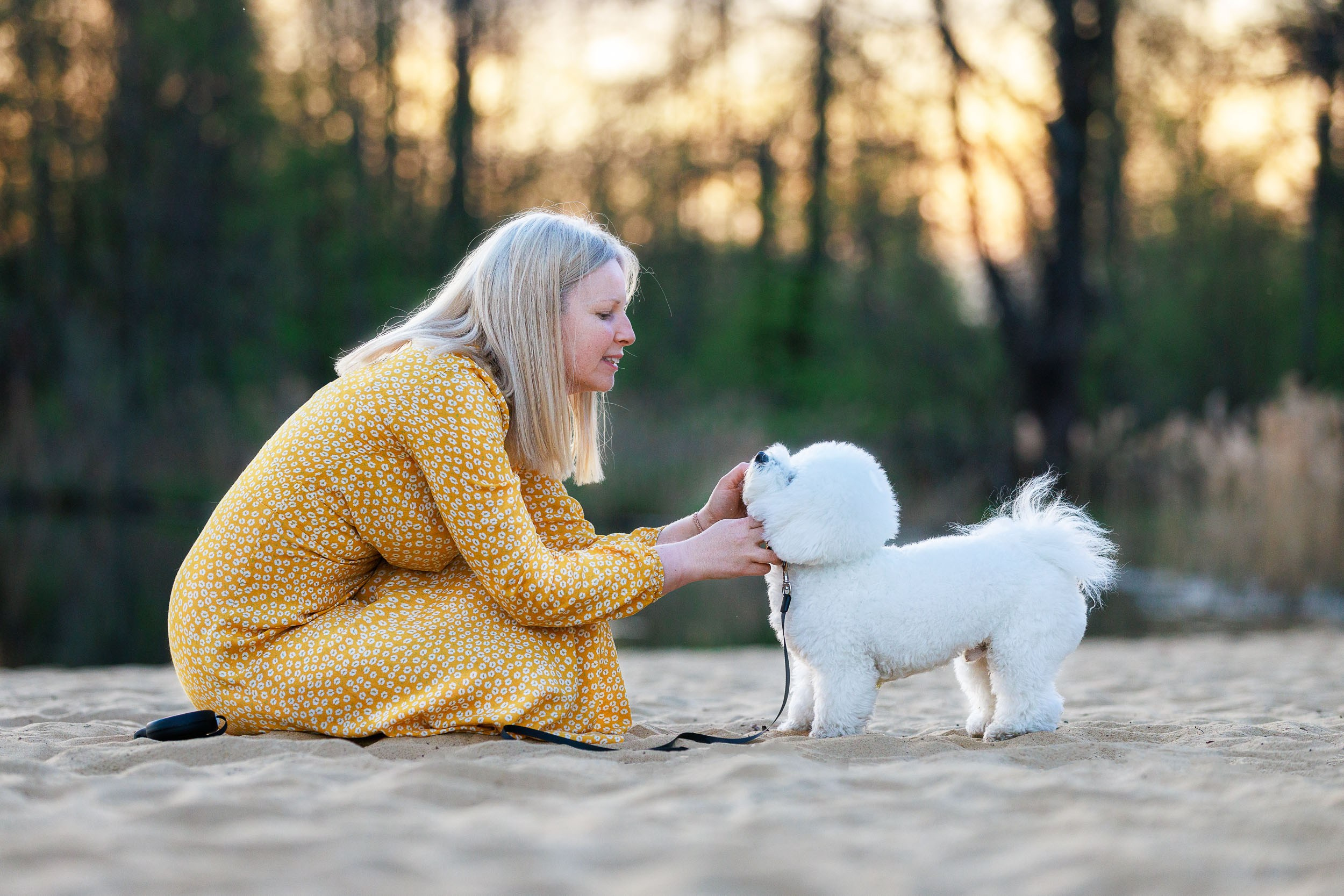 Фотосессия с тибетскими мастифами и бишон фризе. Фотограф-анималист в Москве и Московской области Татьяна Фролова