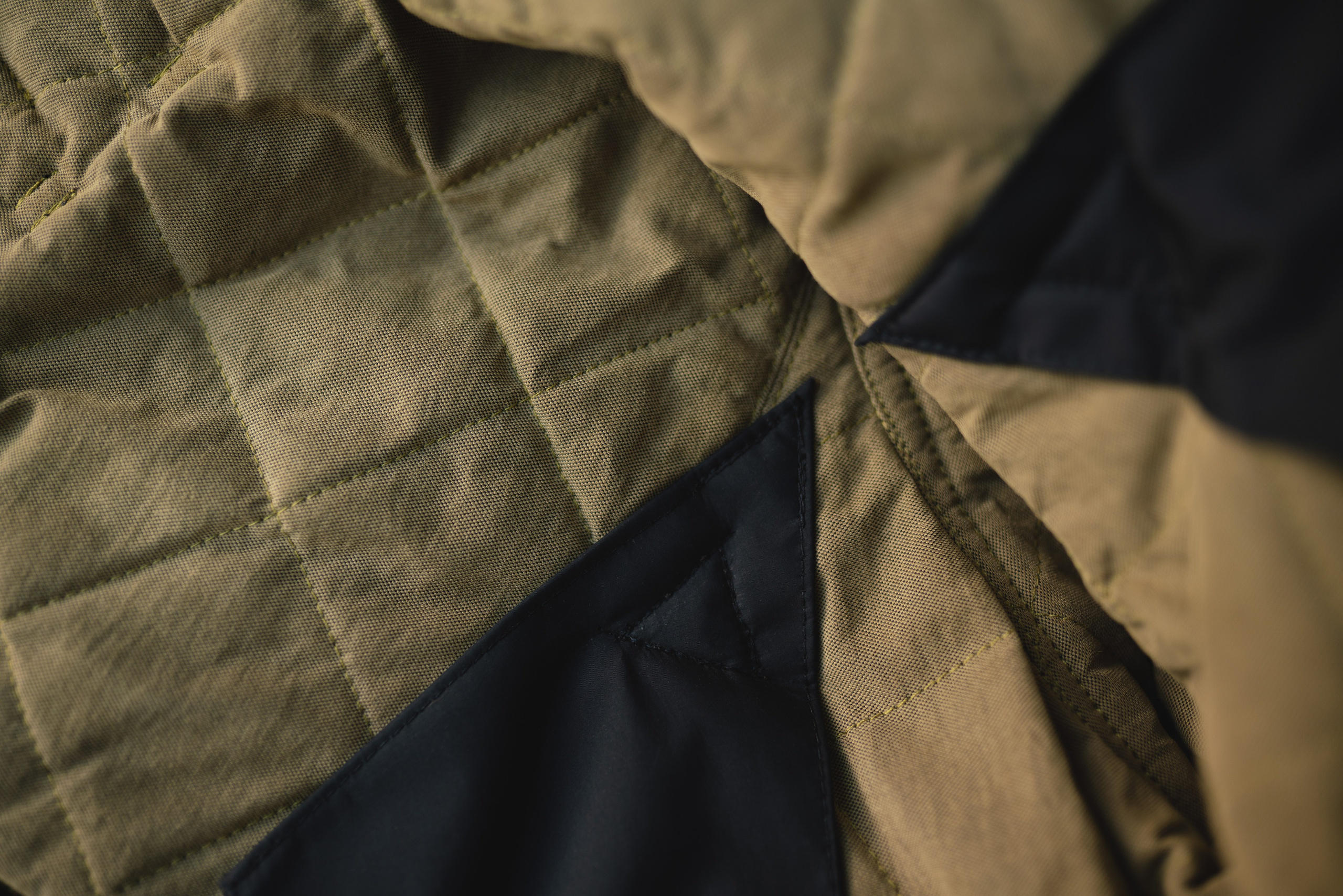 Одежда для собак Bravehound. Фотограф анималист Осипчикова Мария