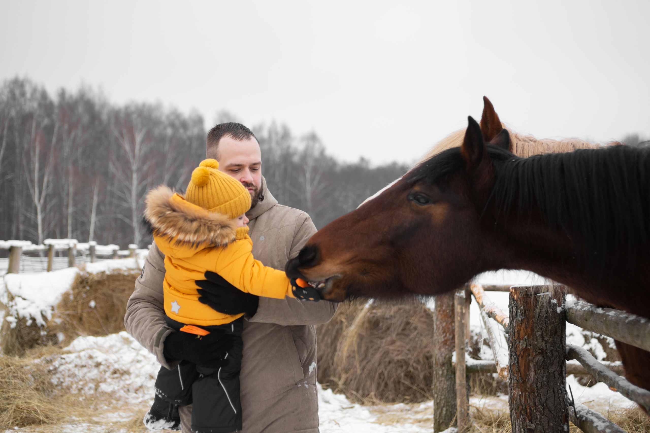 Семейная фотосессия. Фотограф в Калуге фотосессии с лошадьми в Калуге Грешнова Ольга