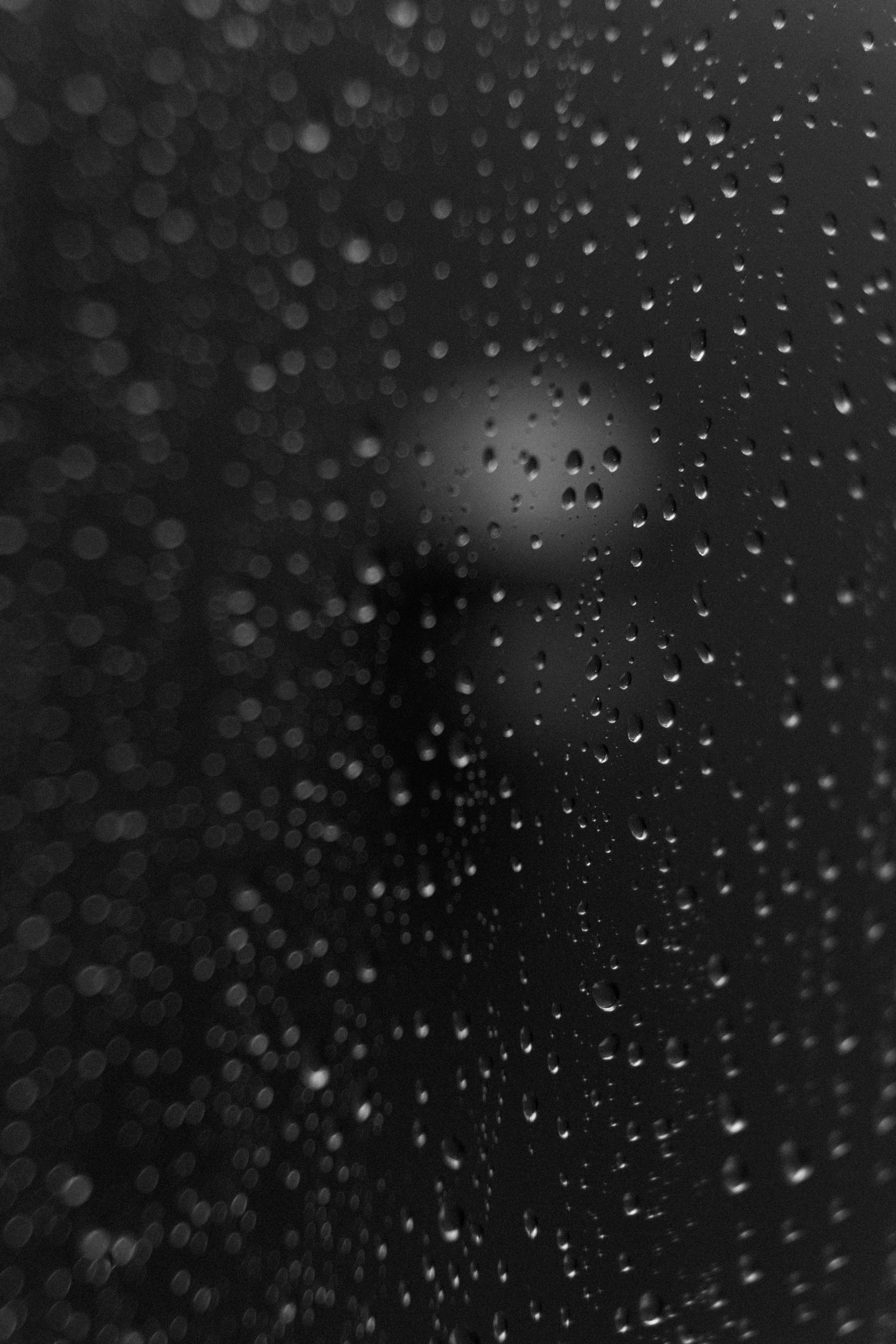 Рустам и Настя. Свадебный и семейный фотограф в Новосибирске Наталья Зорина