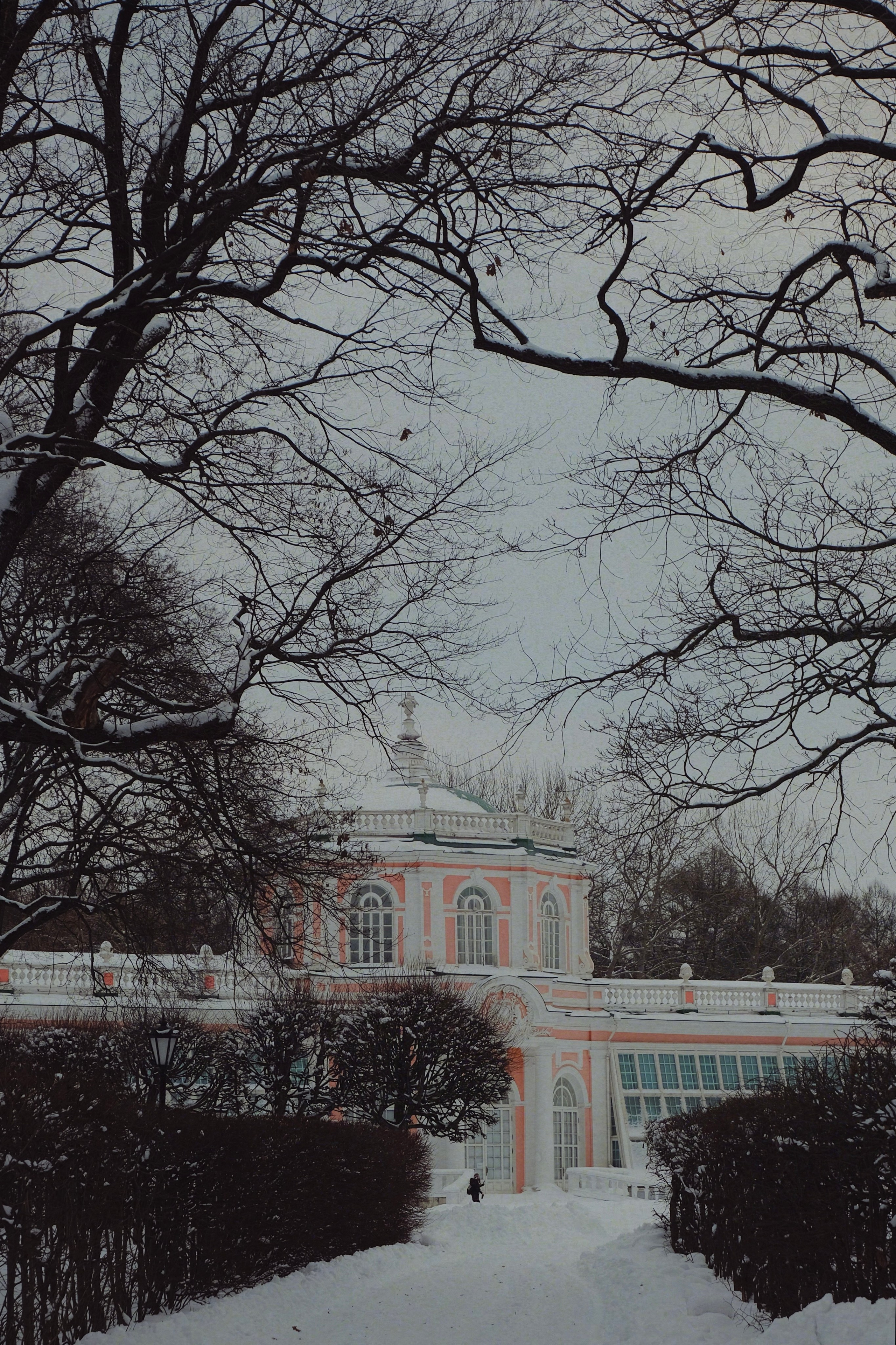 Музей-усадьба кусково. Татьян гертье