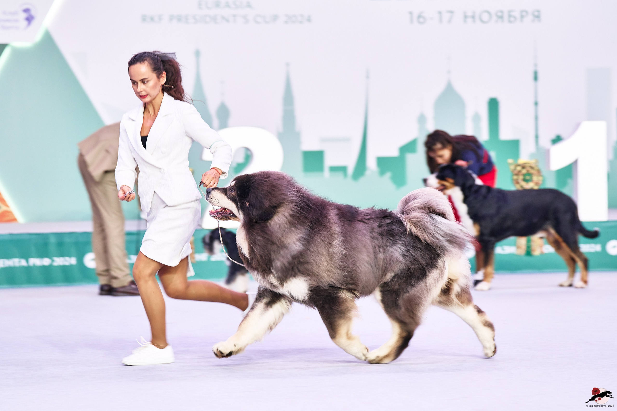 16.11.2024 «ЕВРАЗИЯ. КУБОК ПРЕЗИДЕНТА РКФ 2024»