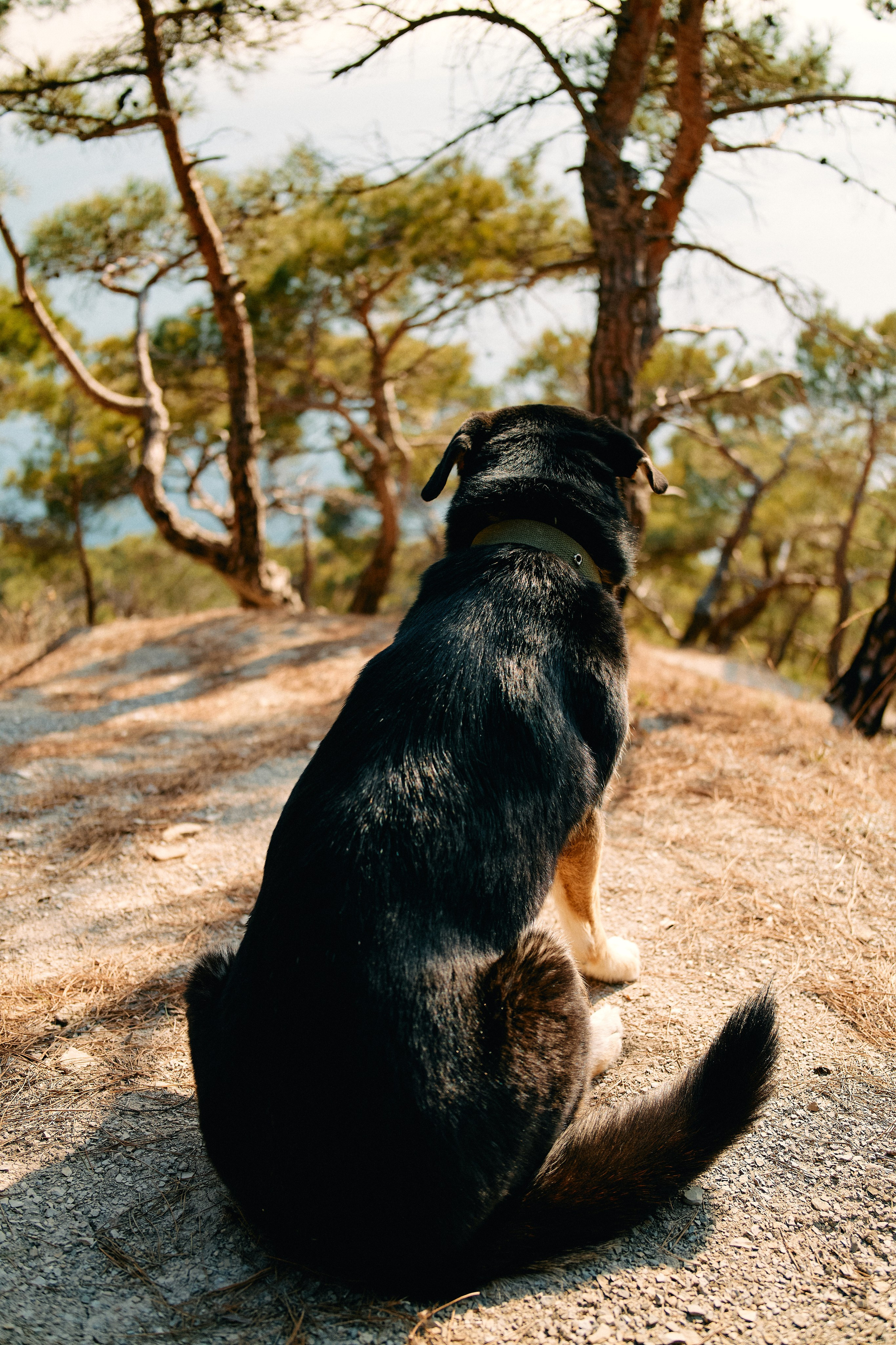 Юг России. Профессиональный Фотограф во Владимире, в Москве и в Суздале — Полина Романычева