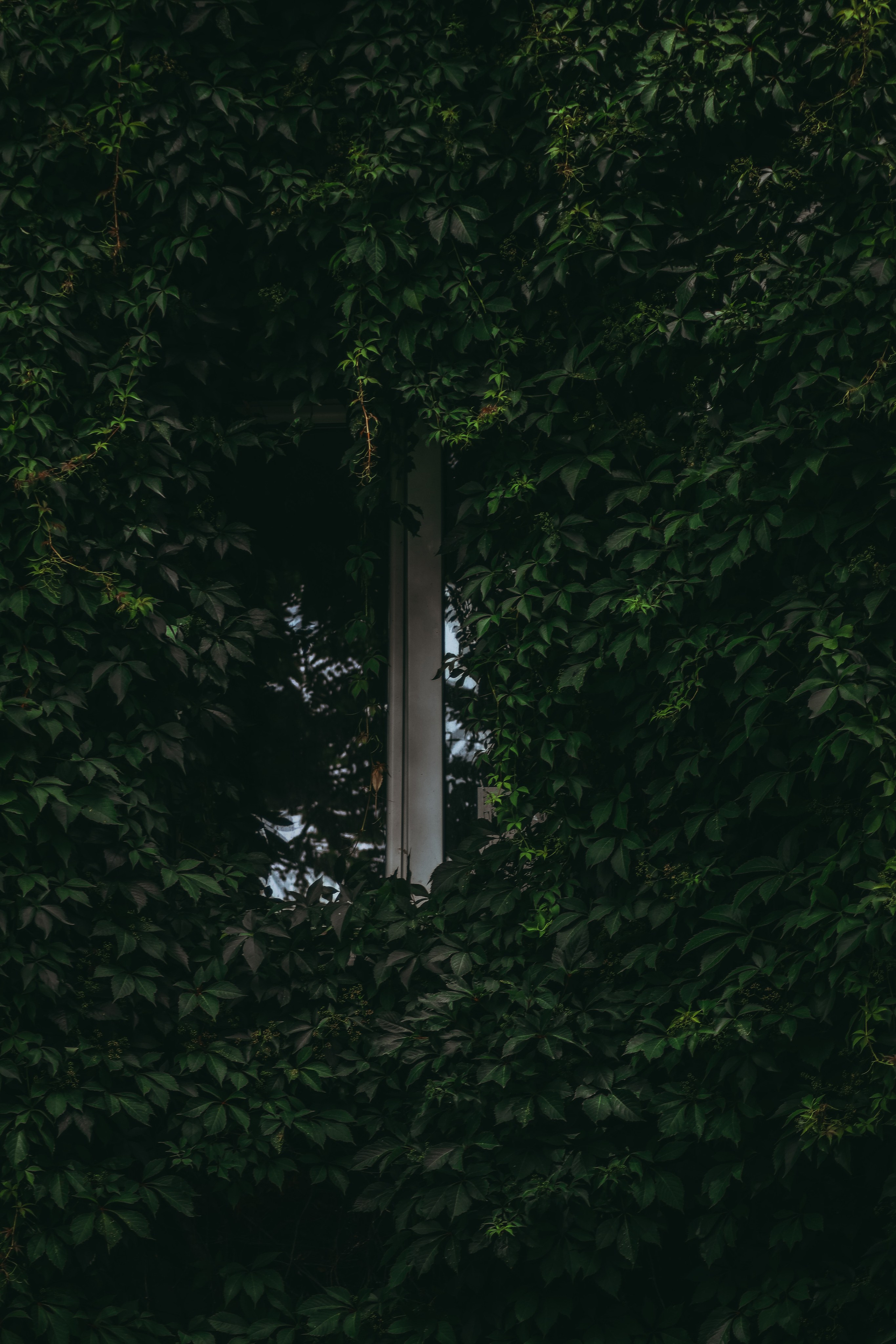 Т Е П Л Ы Й — З Е Л Е Н Ы Й. — Digital Noise —