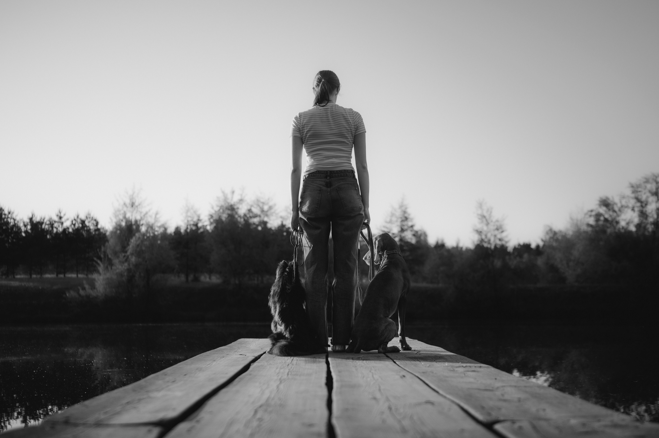 Юля, Никс и Чайф. Семейный фотограф анималист Ананьева Мария — Москва