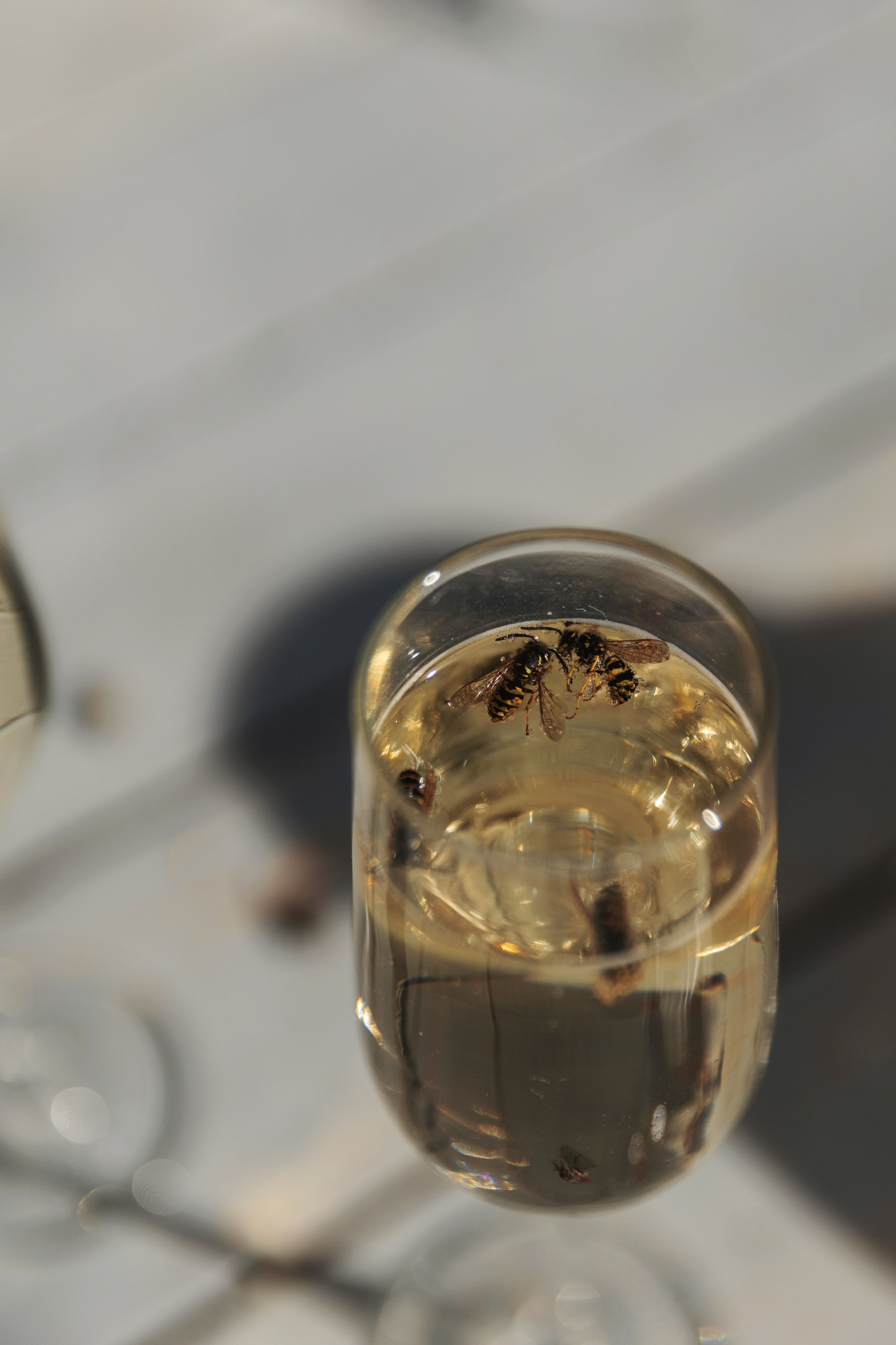 Истории 2023 года. Свадебный фотограф Москва Анастасия Храмова