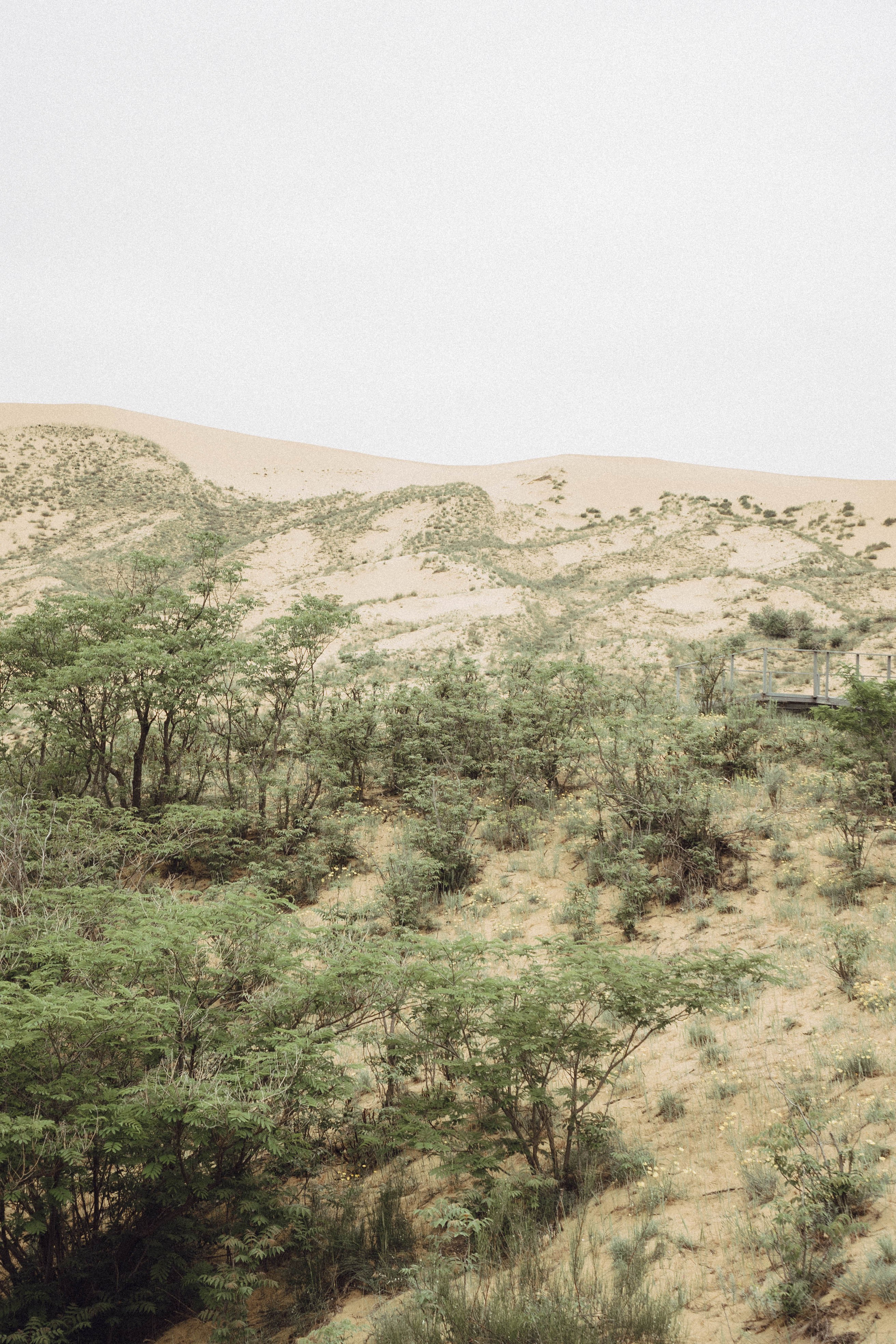 Кавказ. Профессиональный фотограф, Санкт-Петербург — Виктория Богомолова