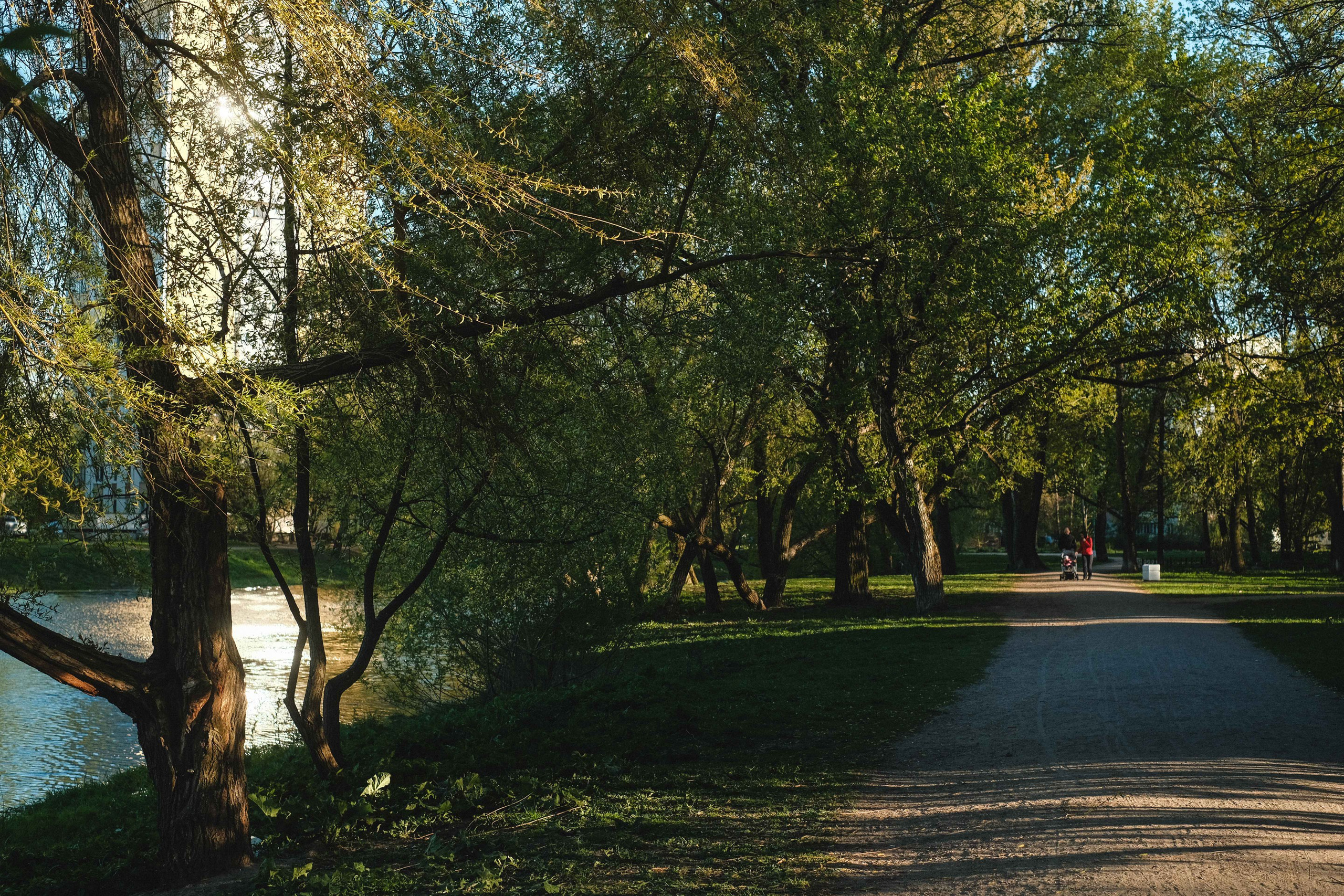 2022.05. Фотограф Алексей Алексеев