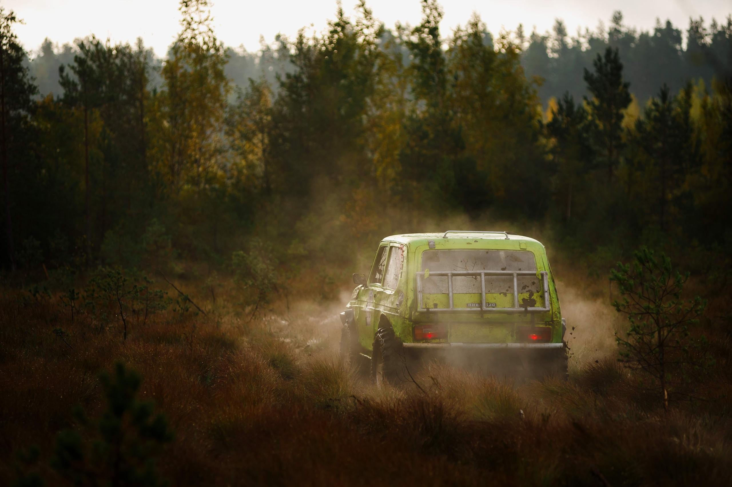 Кубок СПб по трофи-рейдам 04-06.10.2024 — день 2. Фотограф Алексей Алексеев