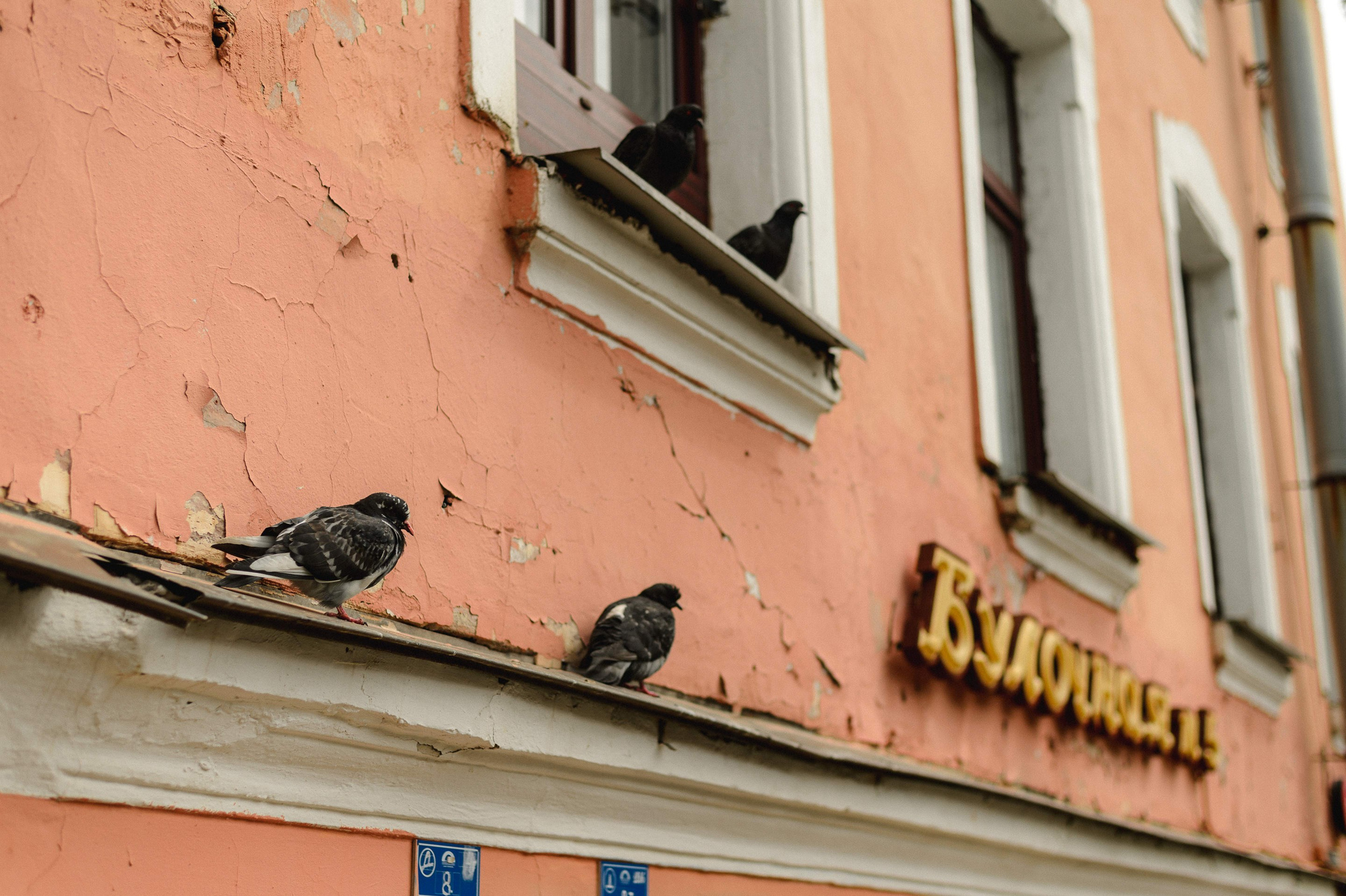 2025.06. Фотограф Алексей Алексеев
