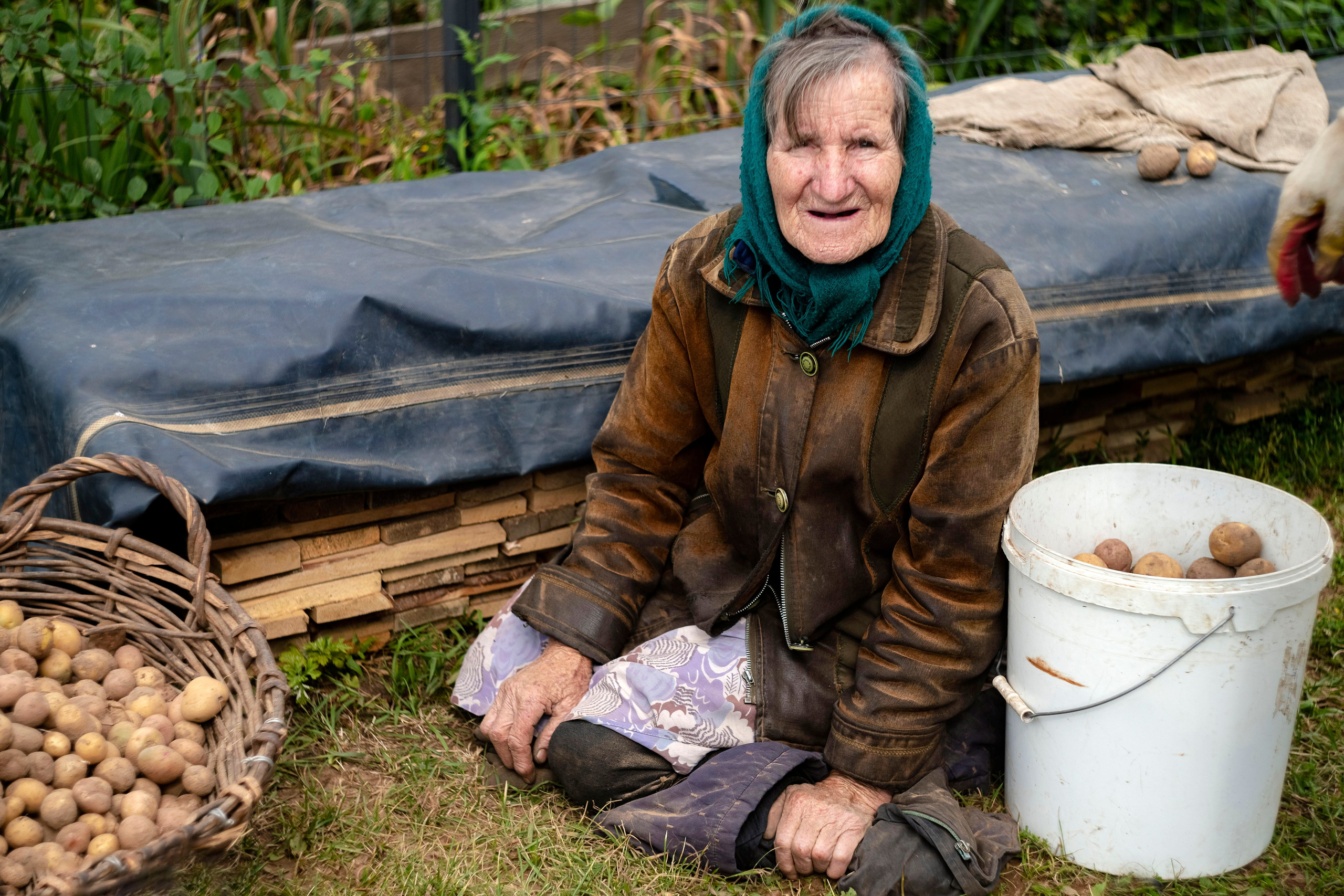 Цветные фотографии. Фотографии Лены Соколовой
