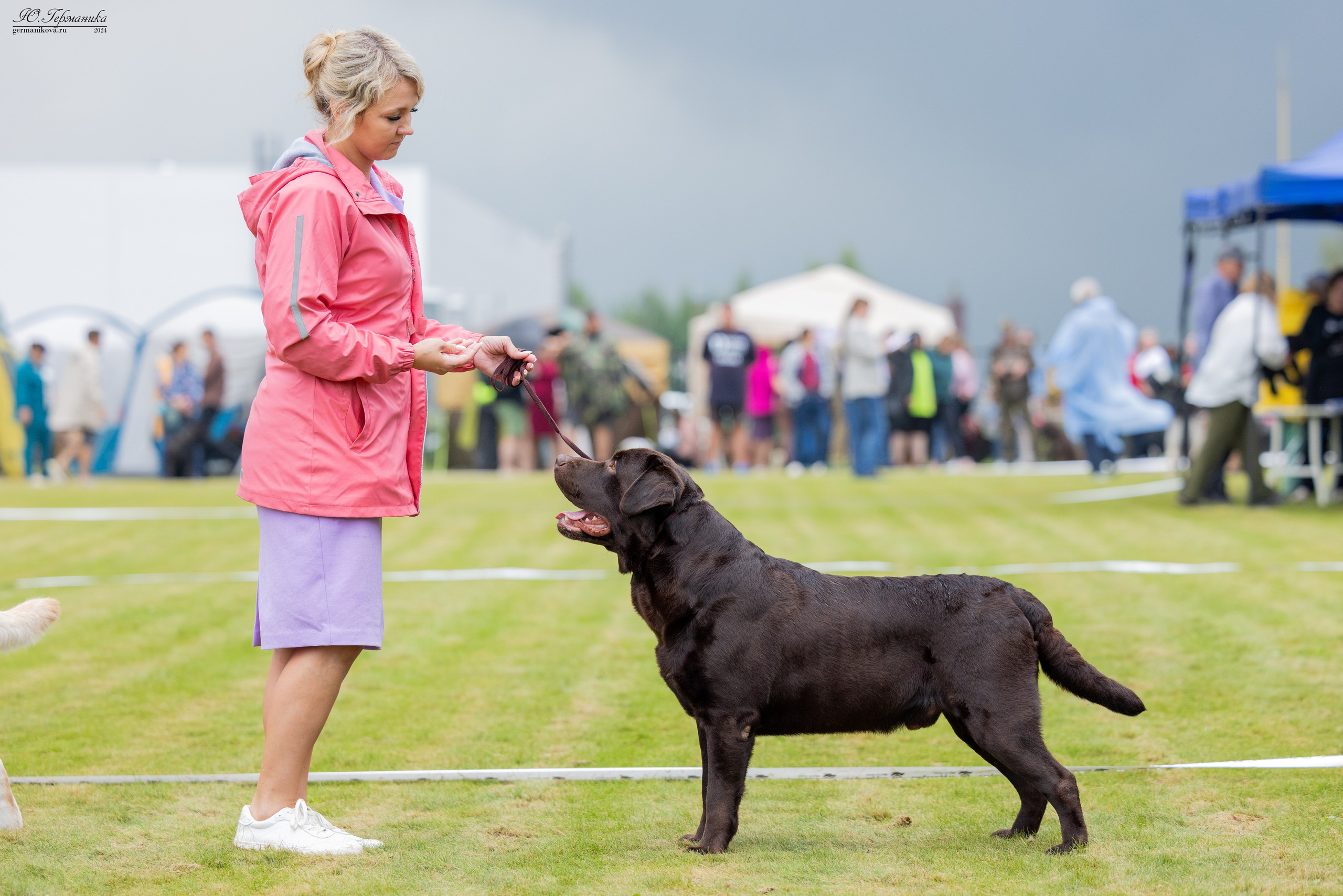 Ярославль 21.07.24 и Балашиха 13.07.24. Фотограф-анималист Юлия Германика