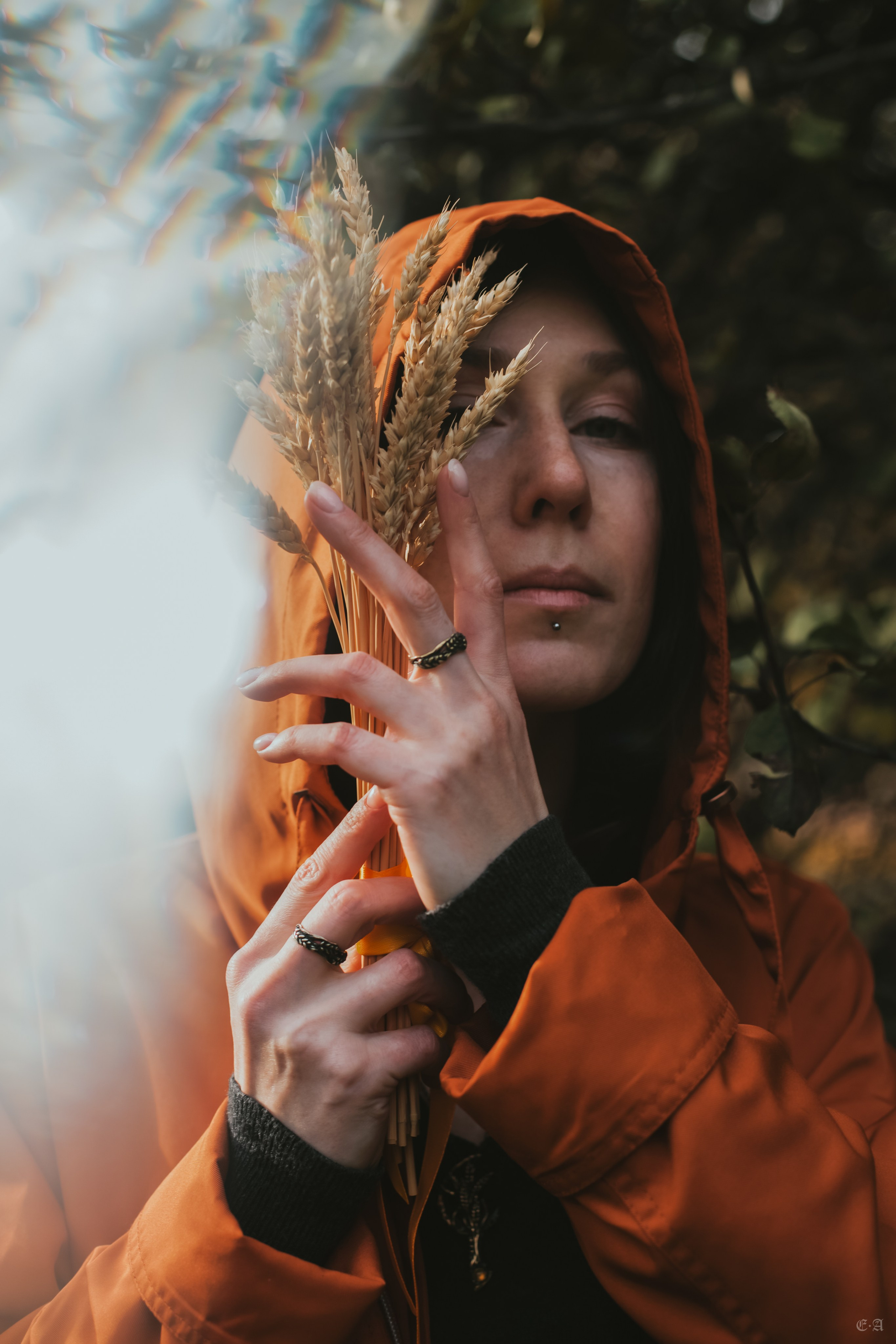 Осенние колосья для Белой Волчицы. Фотограф Ellairen