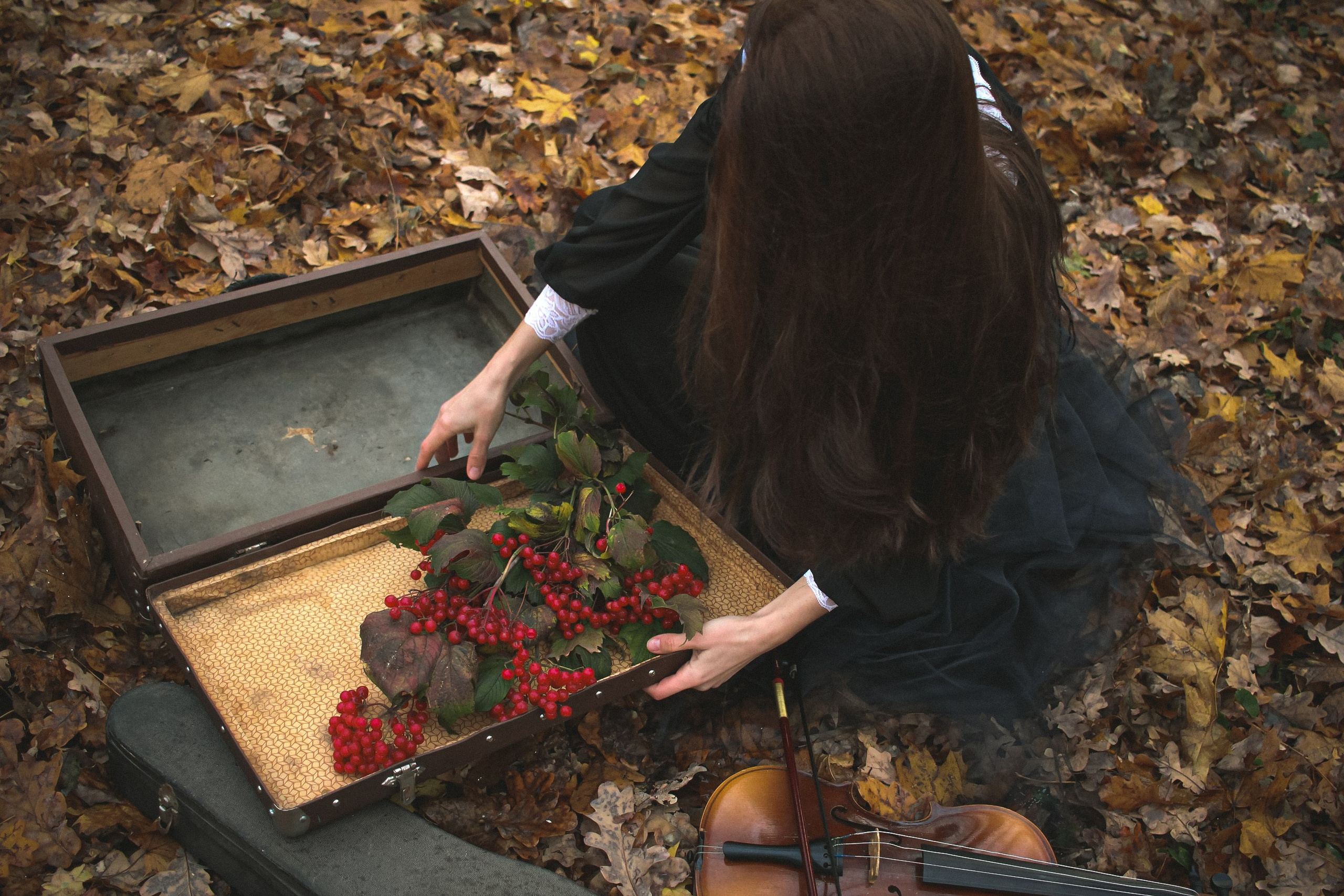 Творческая съемка (скрипачка). Коммерческий фотограф. Ростов-на-Дону. Дарья Константинова