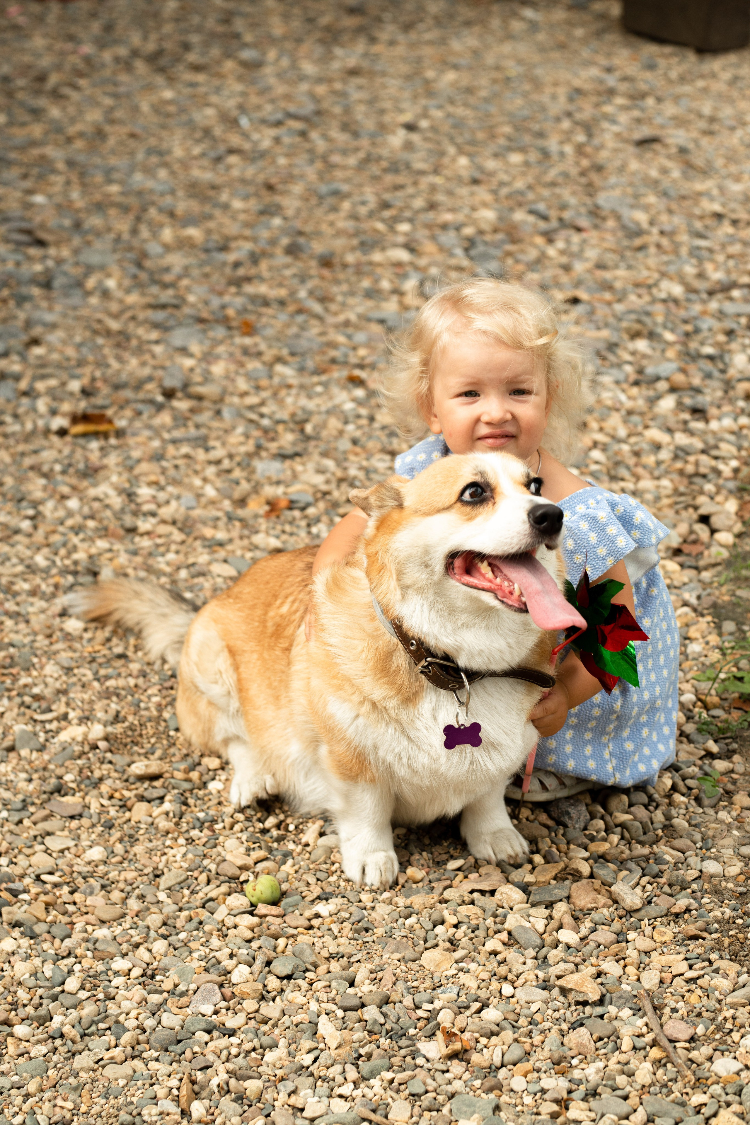 Семейная фотосессия на даче в Купавне. Фотограф в Железнодорожном и Балашихе