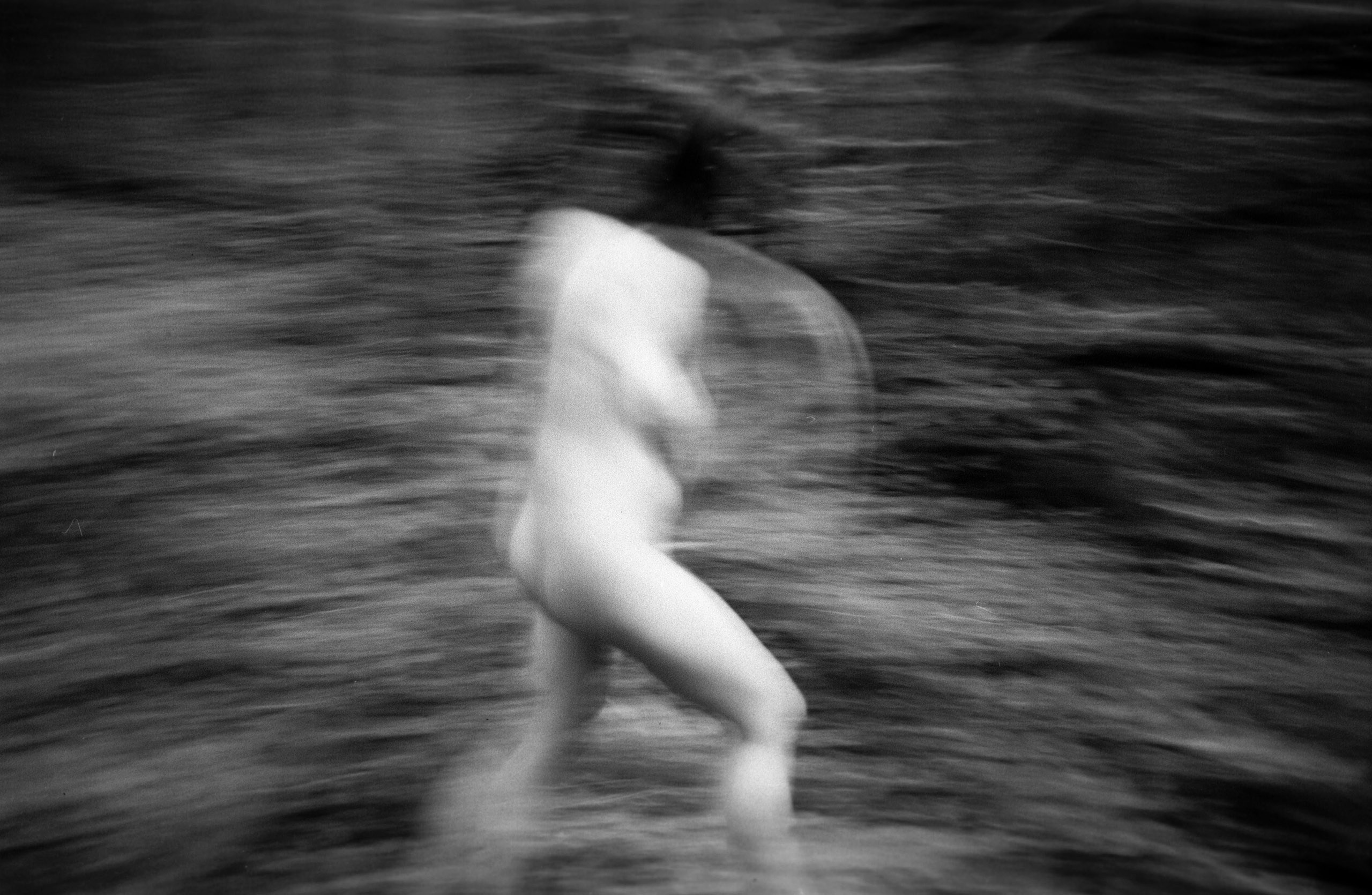 Лесная серия. Kirill Gribov