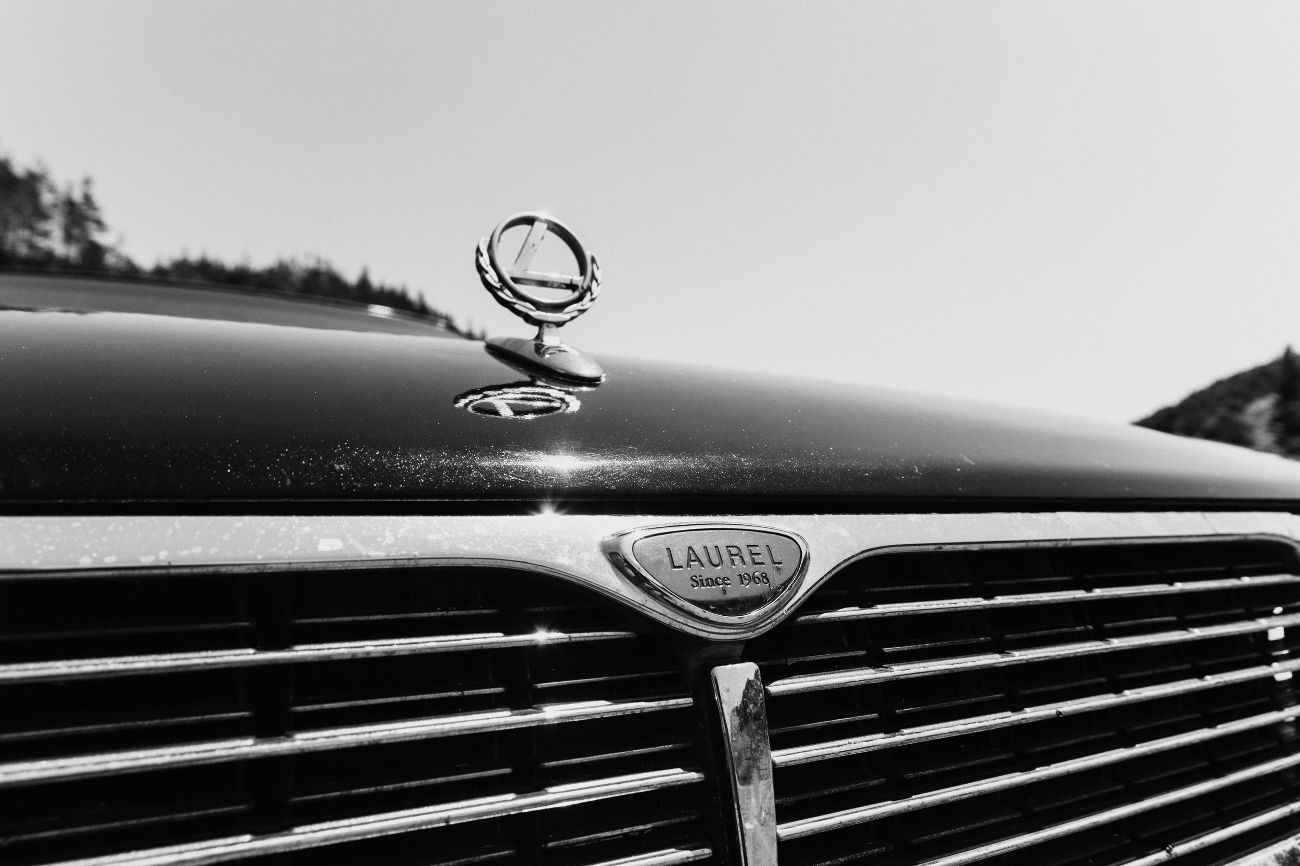 Вова и Надя. Репортажный и портретный фотограф в Санкт-Петербурге Степлевич Дарья