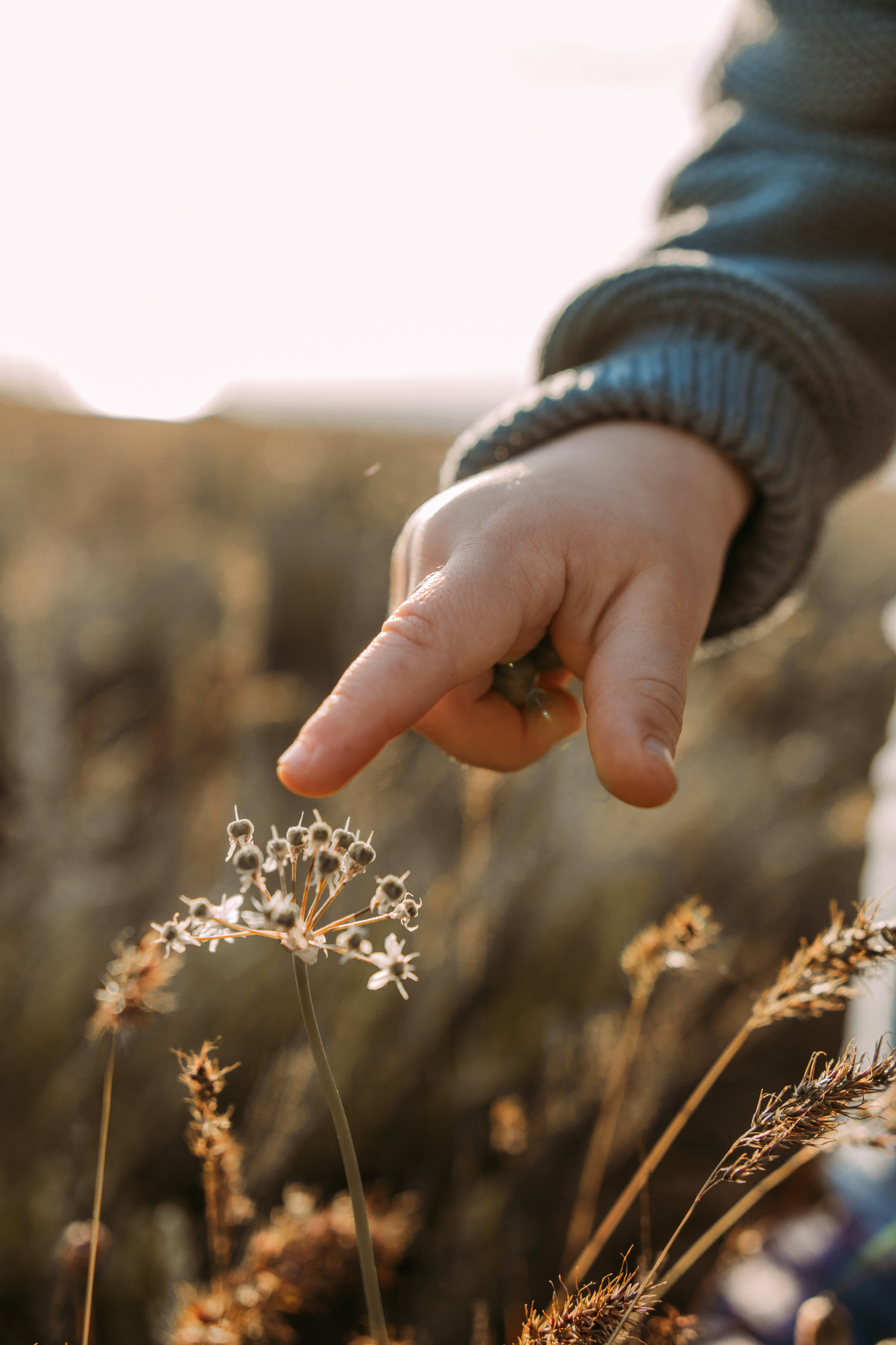 Алина, Лёша, Марк. Семейный фотограф и детский фотограф в Волгограде Алеся Бутакова — дет