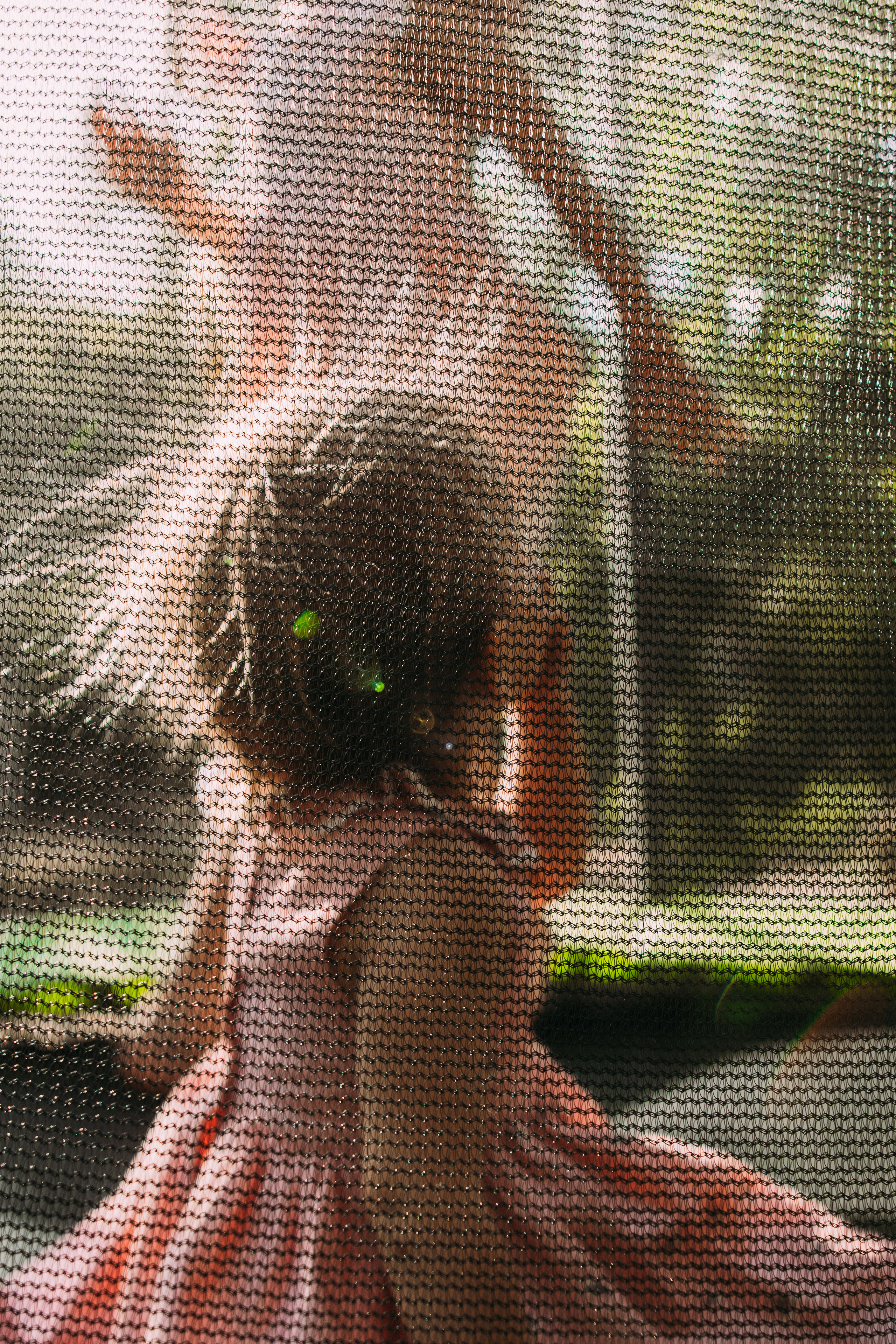 История одного летнего вечера. Семейный фотограф и детский фотограф в Волгограде Алеся Бутакова — дет