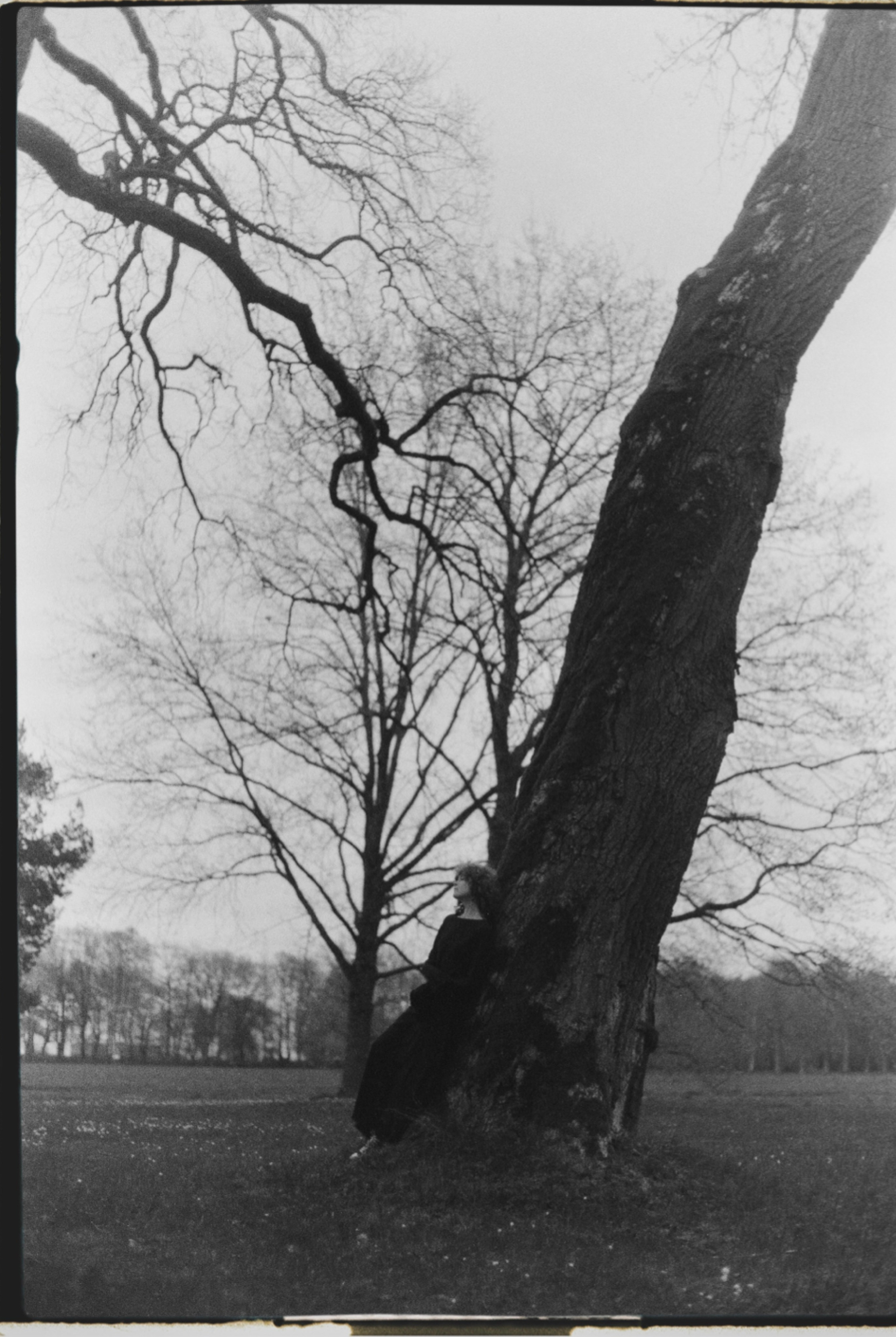 Elena Raya • Photographer