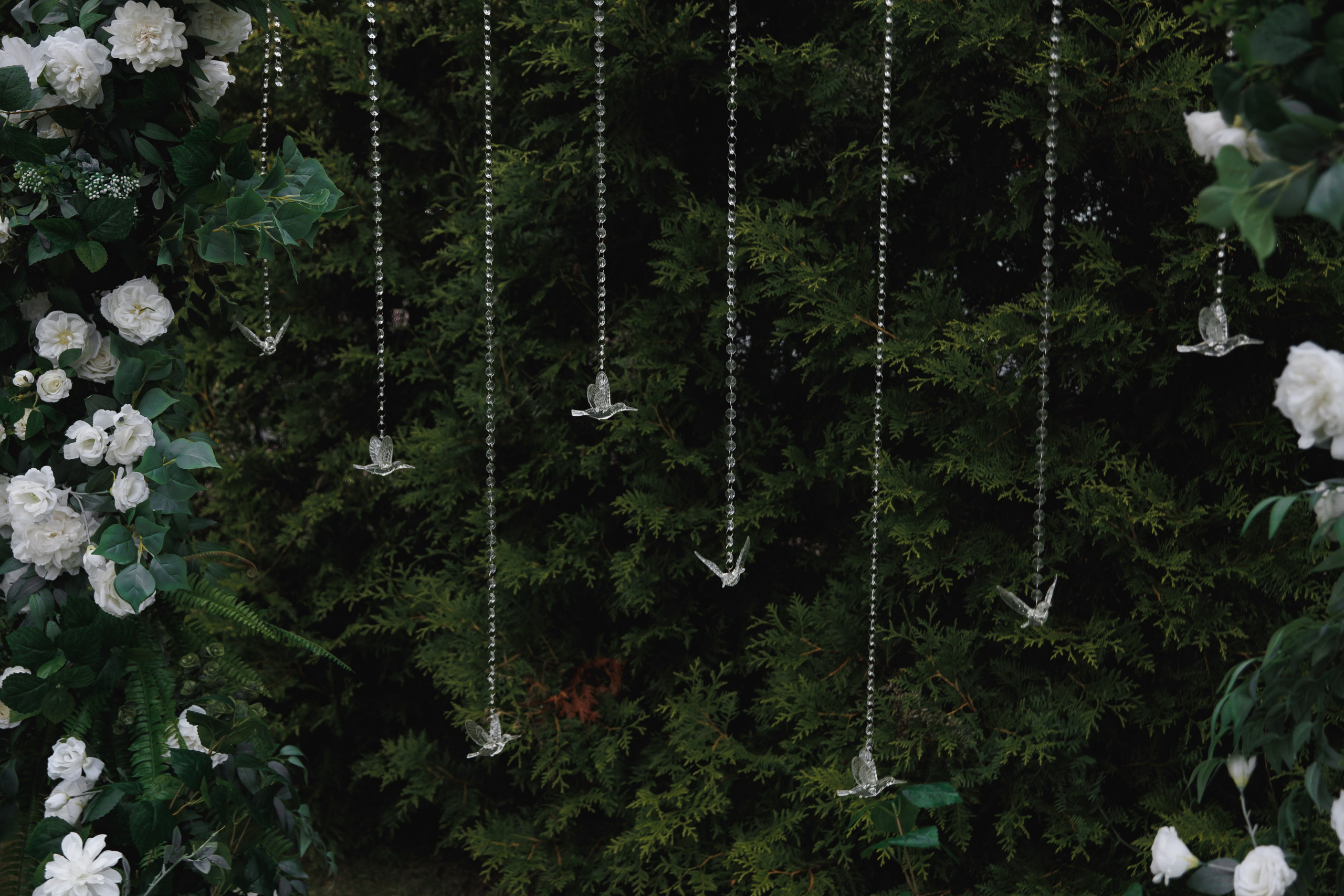 Максим и Василина. Свадебный фотограф в Санкт-Петербурге, Москве, Европе и по всему миру