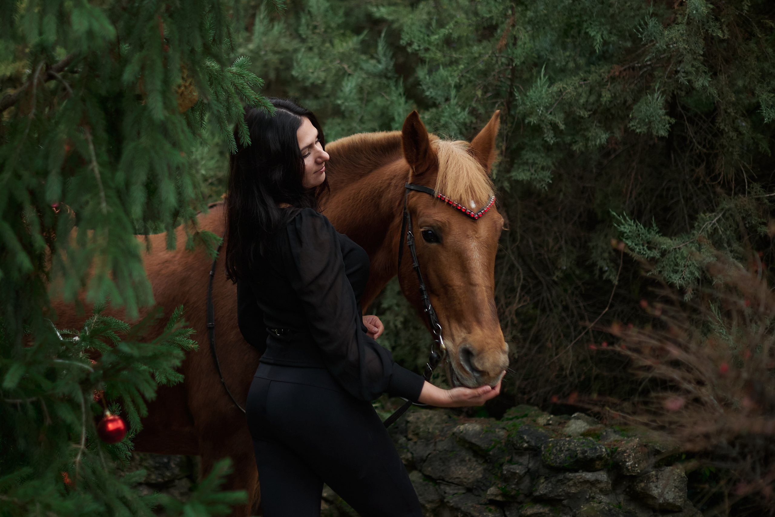 Диана, Гром и Мандаринка. Фотограф в Севастополе