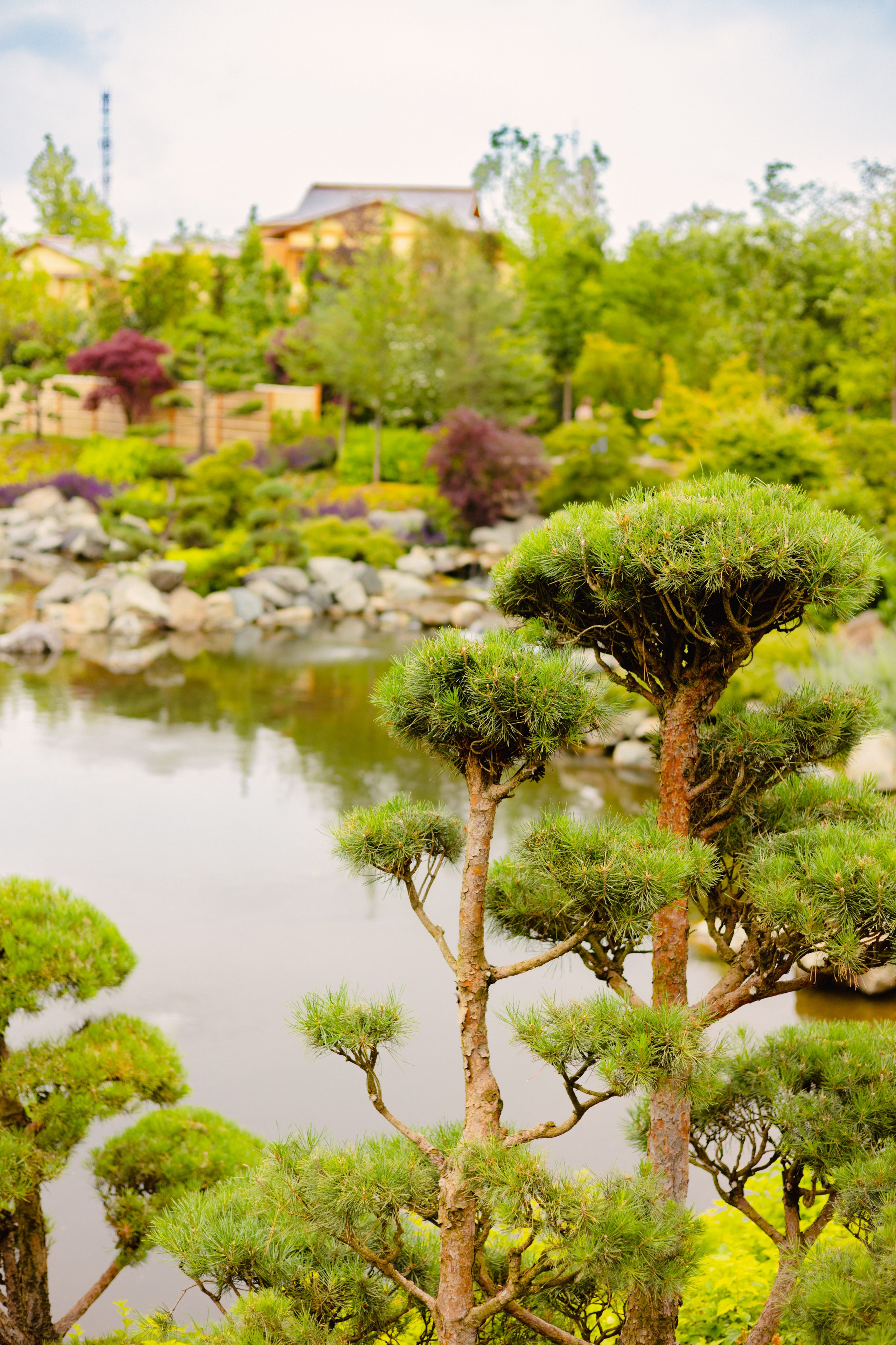 Японский сад в Краснодаре. Профессиональный фотограф и видеооператор