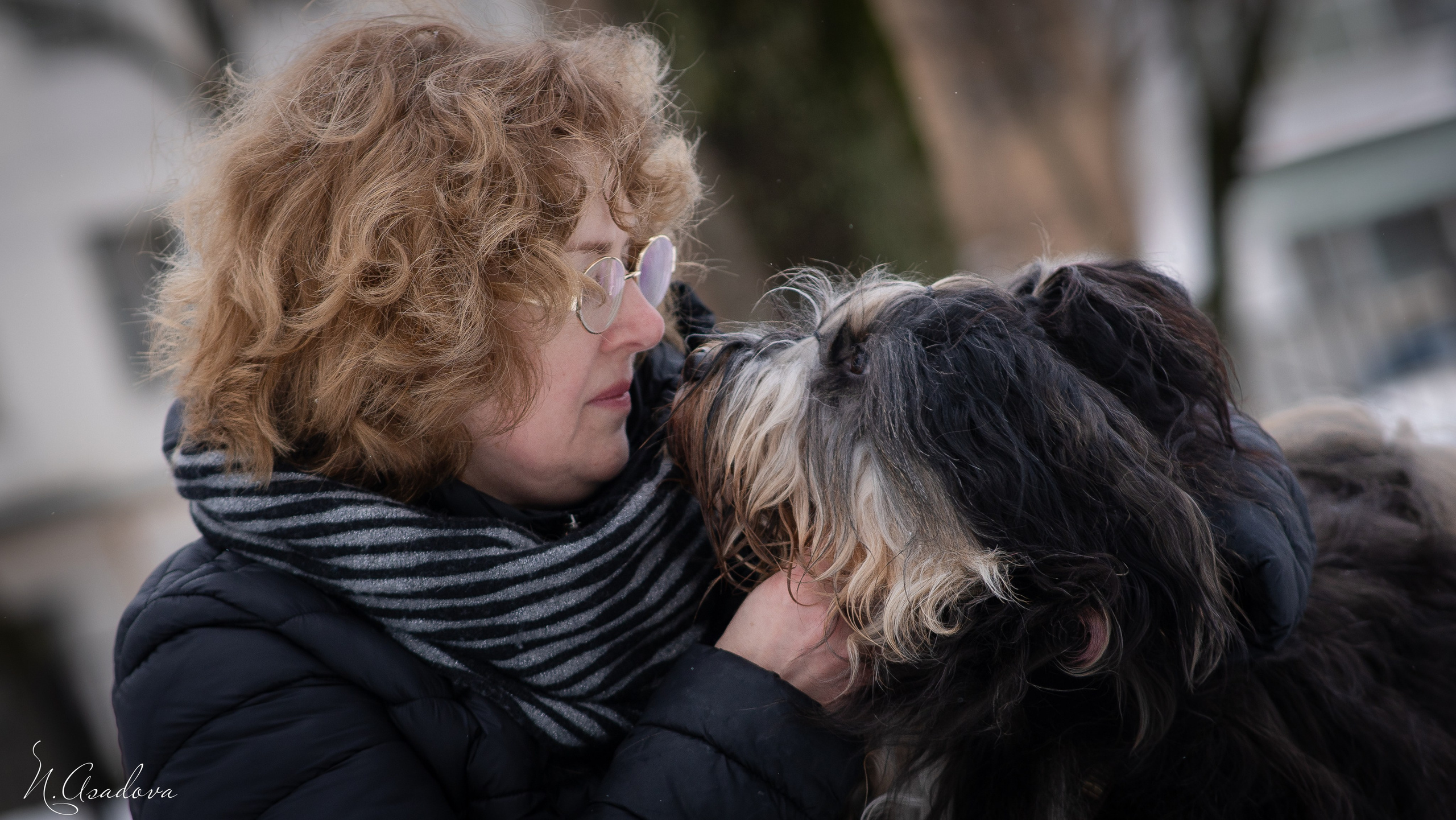 Тибетский терьер Кики. Фотограф-анималист Асадова
