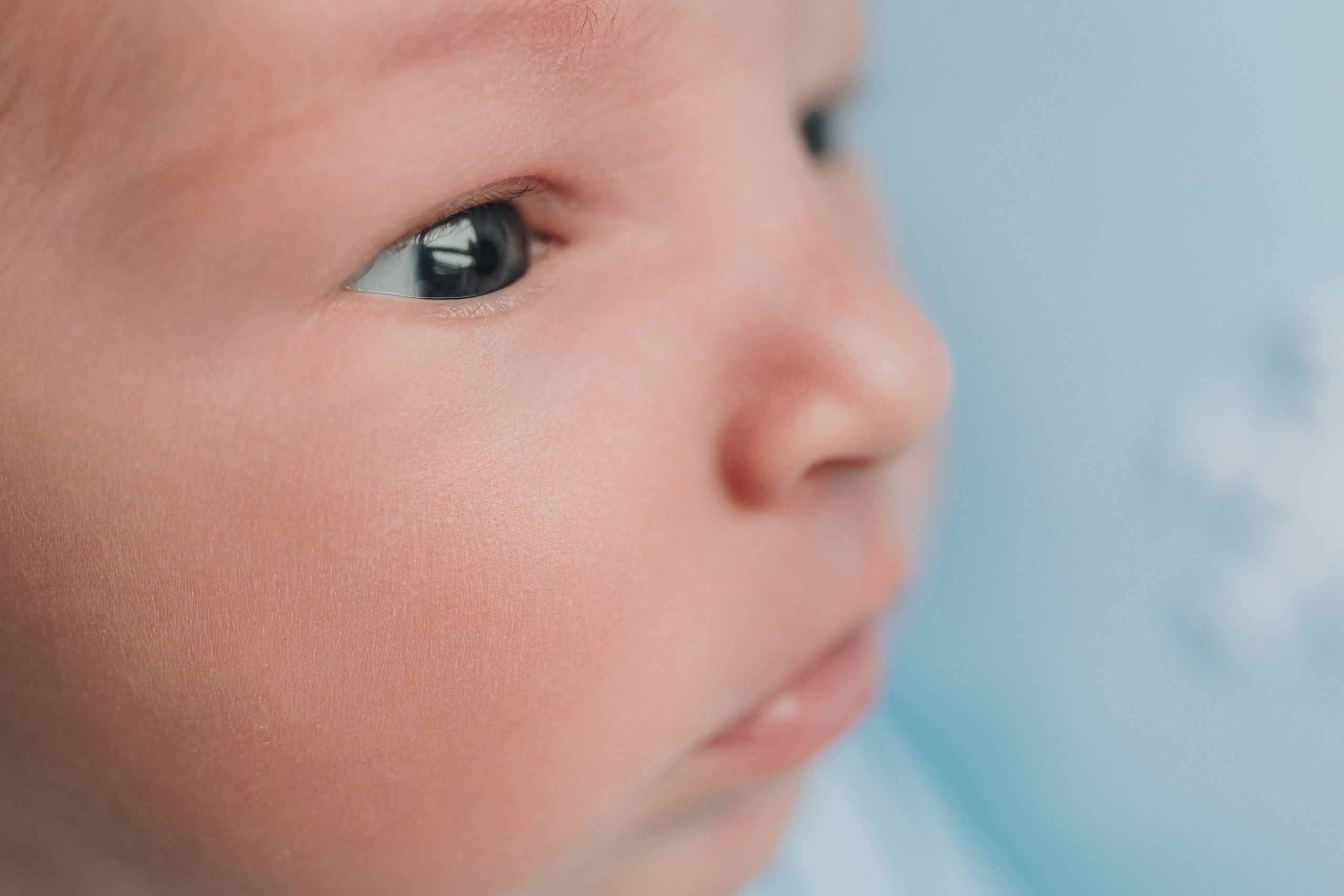 Alex. Natalia Finch Photography — Family, Kids & Pet Photographer in Chicago, IL