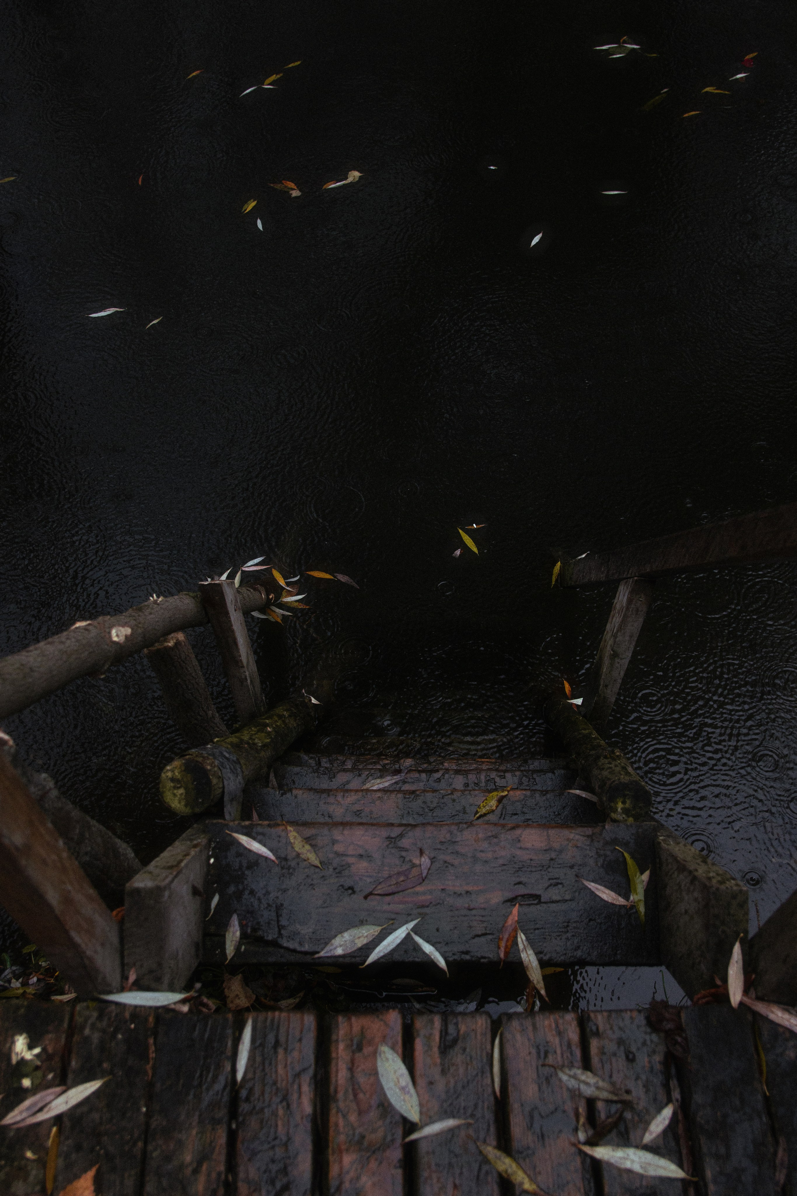 Русско-Немецкая Швейцария. Арсений Марасинский — фотограф в Казани