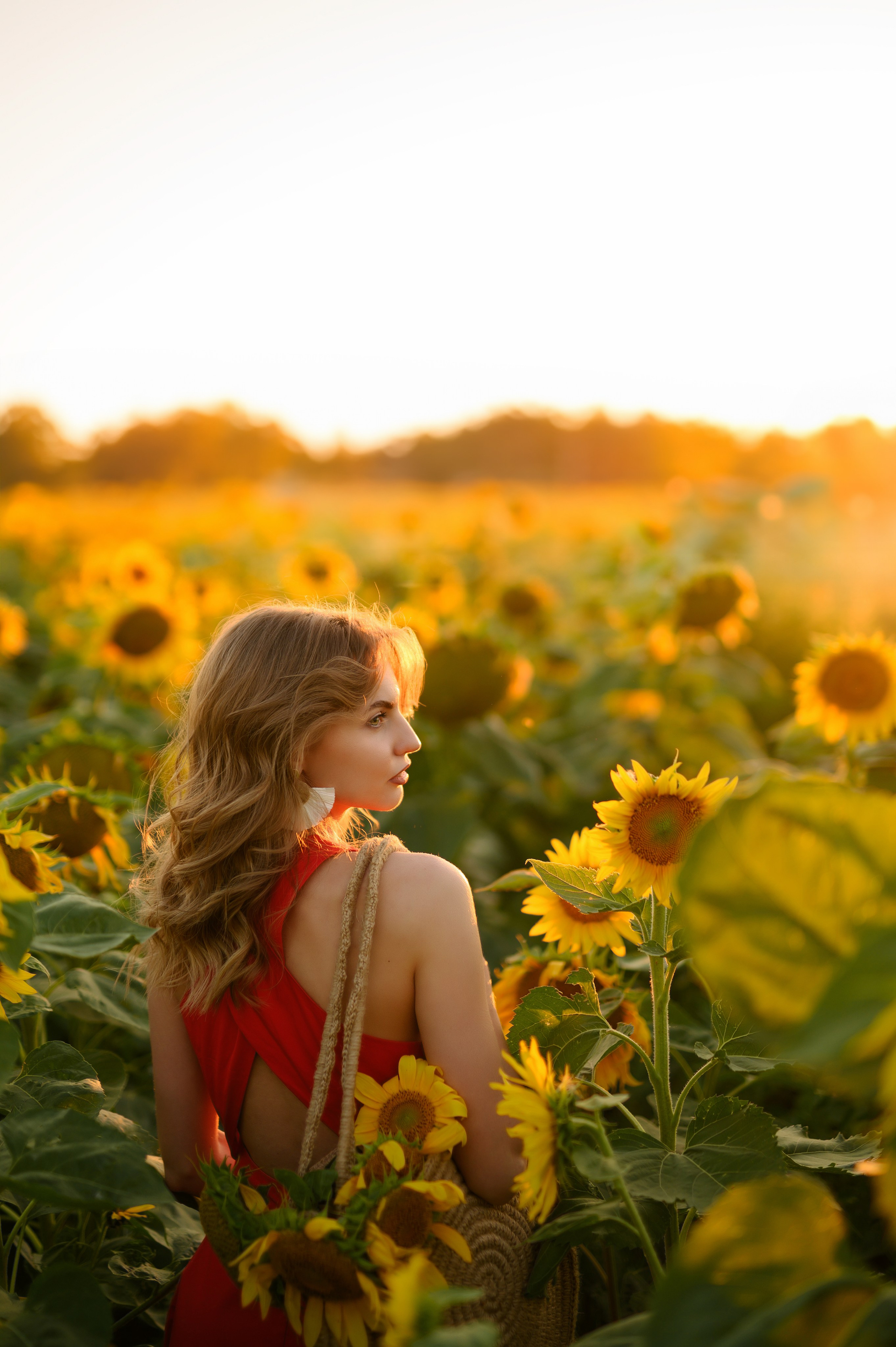 Анна | съемка в подсолнухах. Фотограф в Краснодаре Скубицкая Альбина