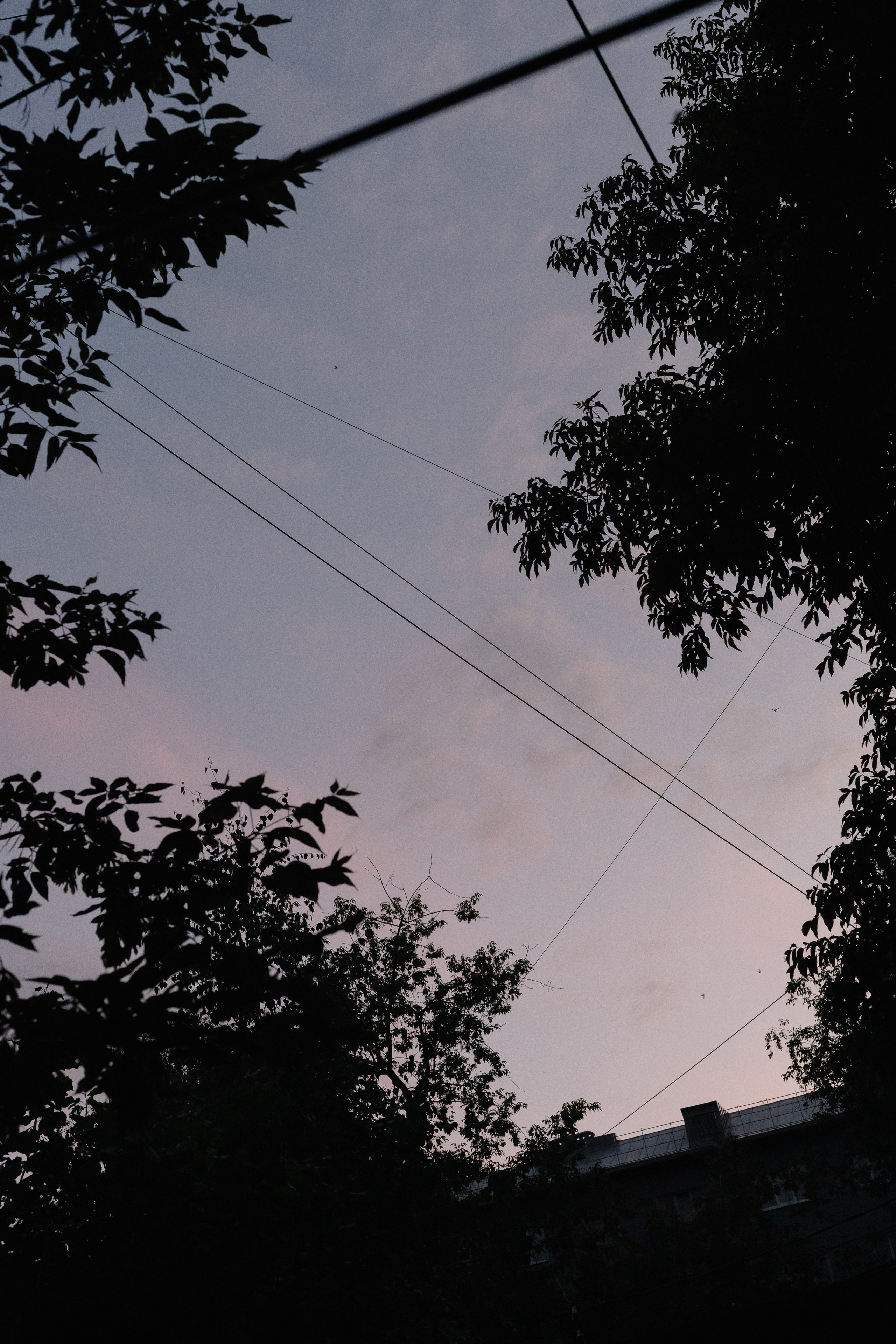 День рождения в Цейлоне — Алена ✨. Свадебный фотограф в Нижнем Новгороде Генеральская Ира