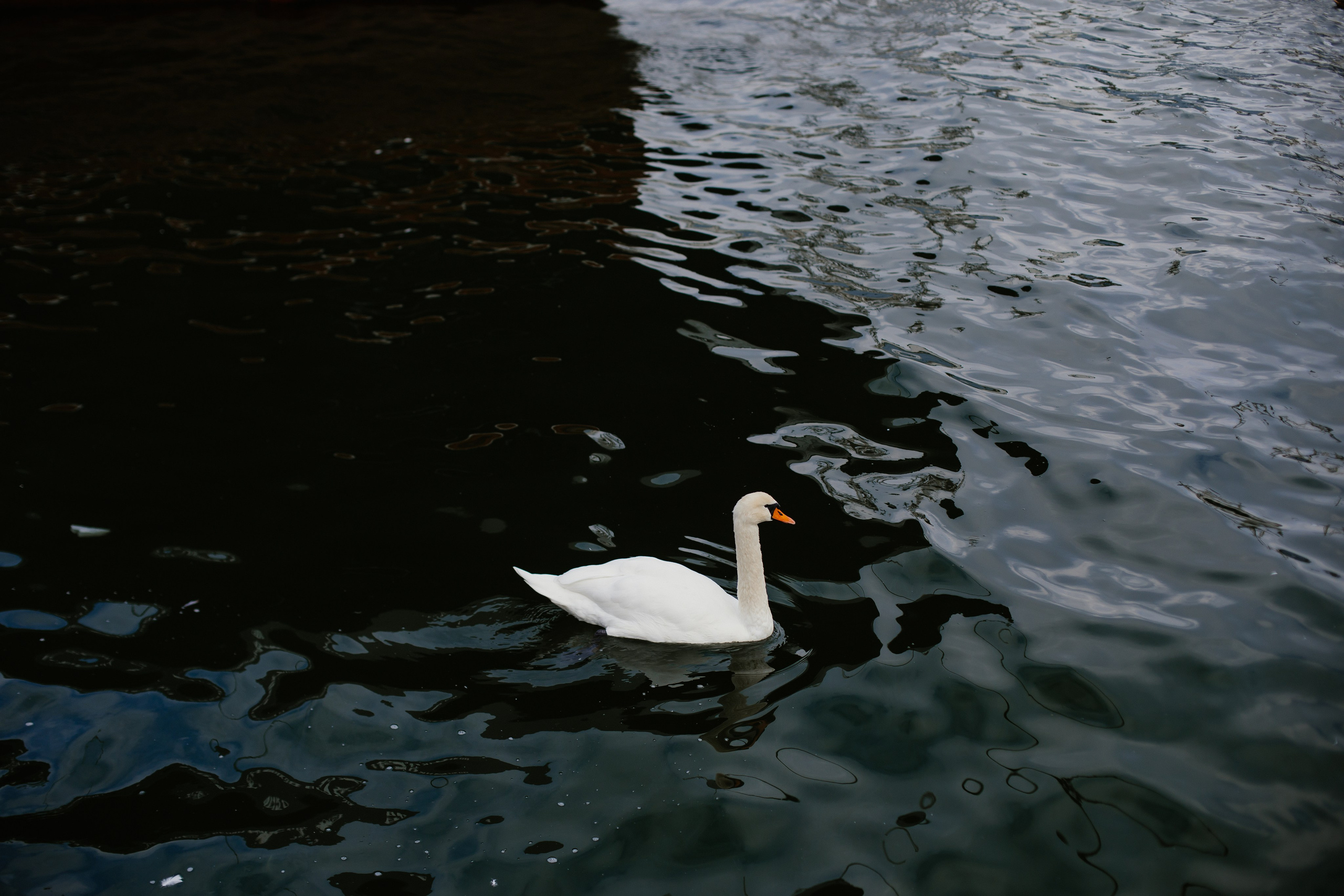 Балтийск/Калининград. Свадебный и семейный фотограф/видеограф в Краснодаре Наталья Осинская