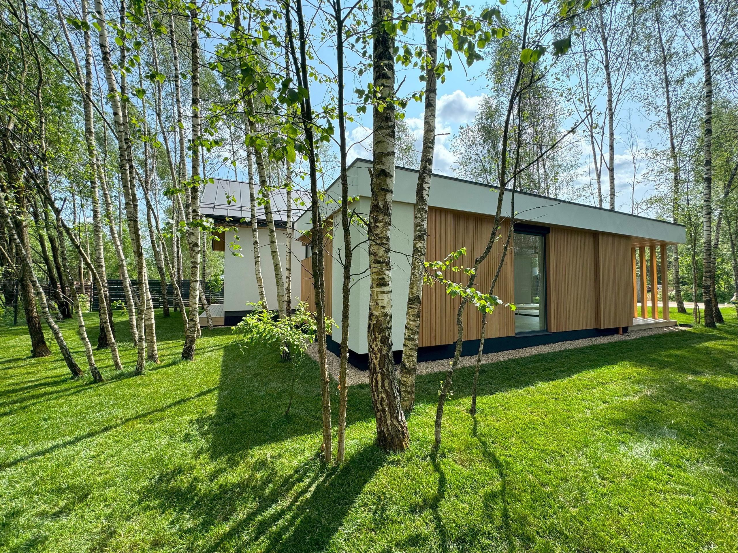 Villa of a successful person. Чугунова Анастасия. Дизайн интерьеров и архитектурное проектирование